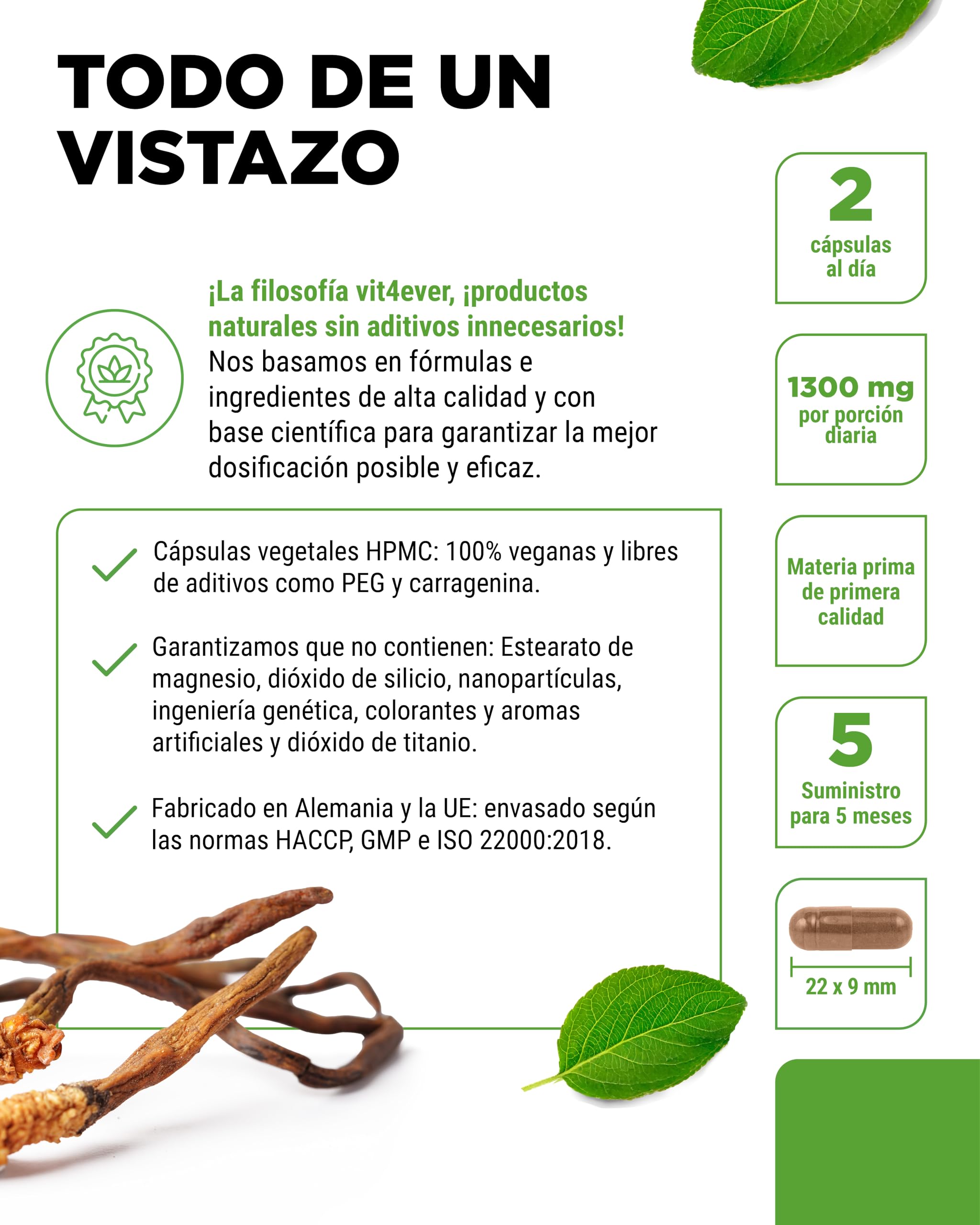 Cordyceps mushroom - 300 cápsulas con 650 mg de extracto real CS-4-40% polisacáridos bioactivos - alta dosis - hongo oruga - vegano
