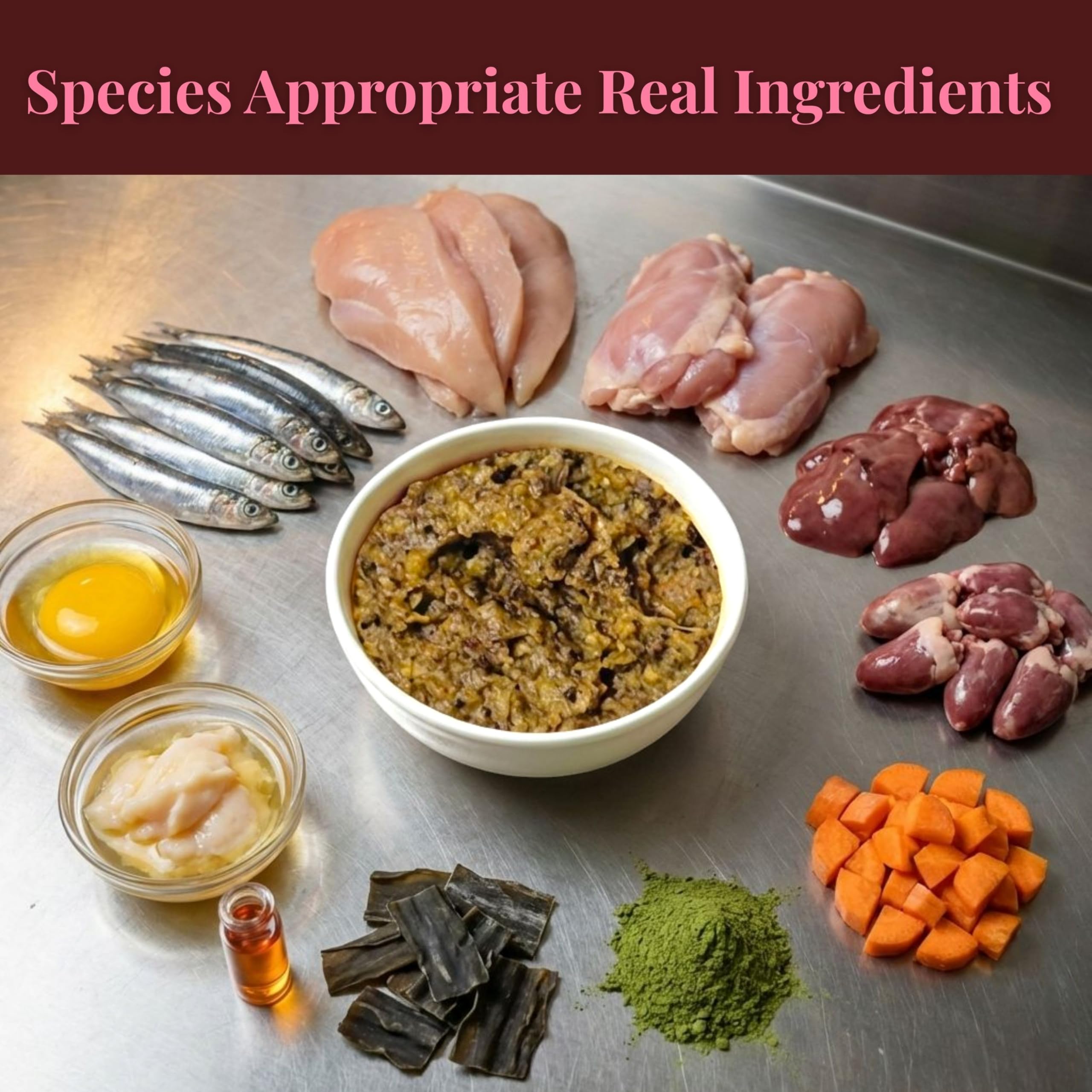UNDERSTOOD Air Dry Kitten Food | 500g Makes 1.5 kg Wet Food | High Protein, Real Taurine from Anchovies and Chicken Heart | Growth Formula 1