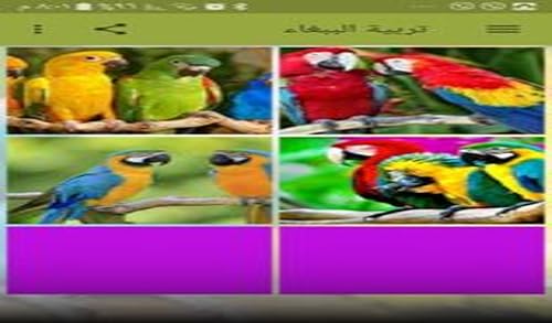 com.babaghaa.alshujiry