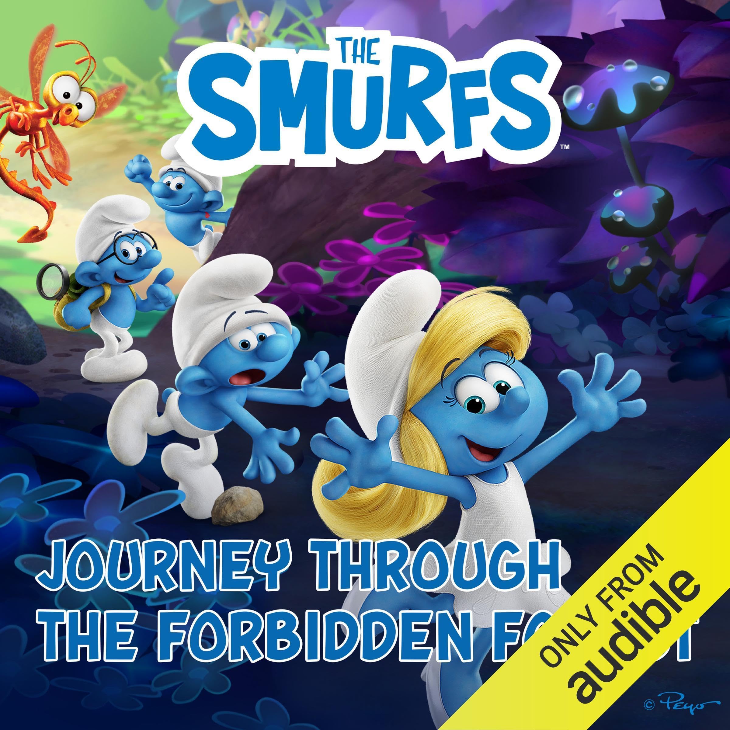 Cover art for Journey Through the Forbidden Forest