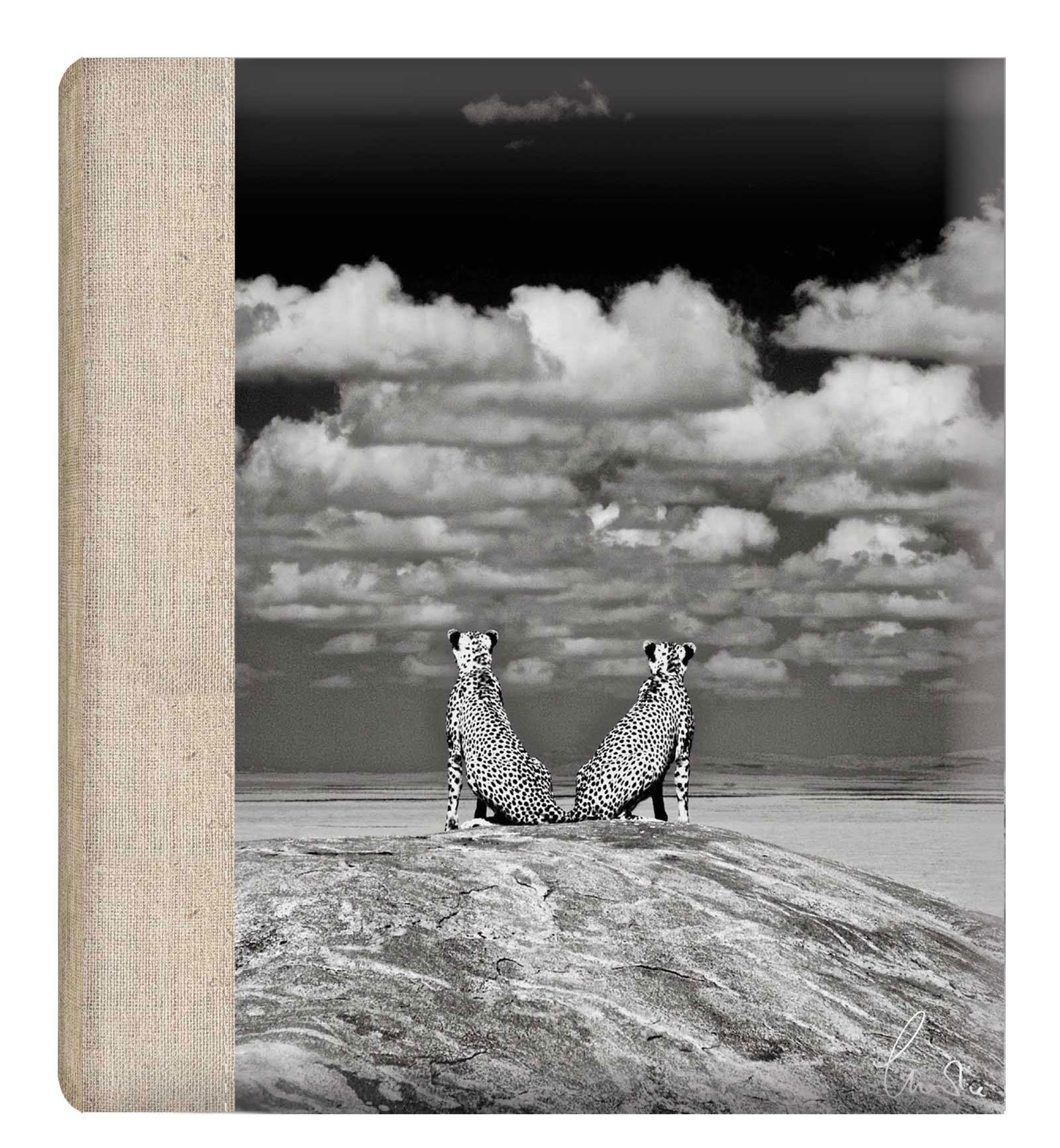 Charlie Hamilton James Deluxe Large Wildlife Self Adhesive Photo Album HoldVarious Sized Photos 30Pages (2 Cheetahs On Rock - Beige Spine)