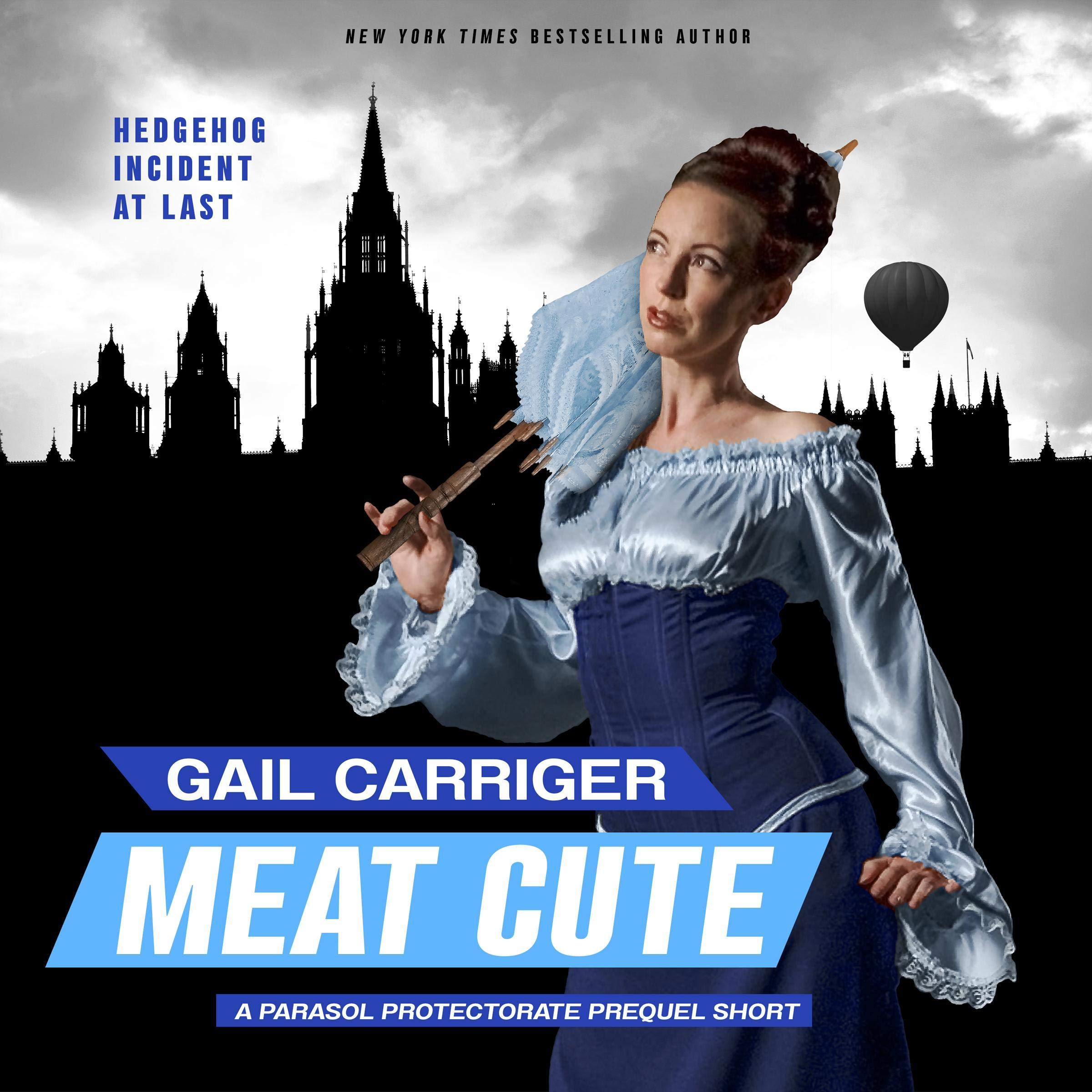 Cover art for Meat Cute: The Hedgehog Incident