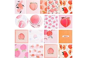 OIIKI Peach Washi Paper Stickers