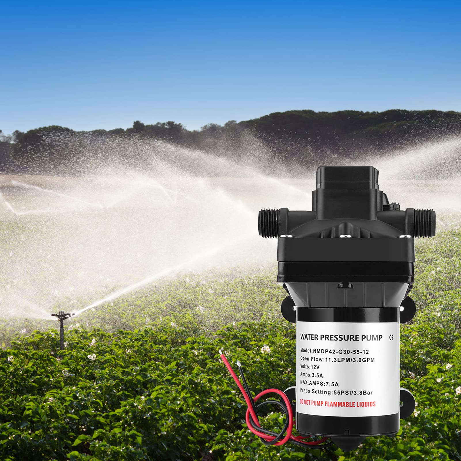 Druckwasserpumpe 12V DC, 30 psi/3,1 bar, Schwarz, PVC und Kupfer, 26,4 x 14,3 x 13 cm, für Wohnmobil
