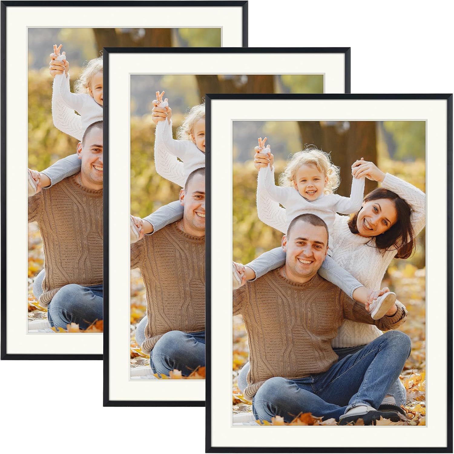 Mat Board Center, 13X19 Aluminum Picture Frames Set of 3