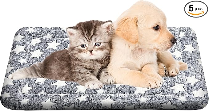 Colchoneta para Perro Lavable Tamaño Pequeño Reversible