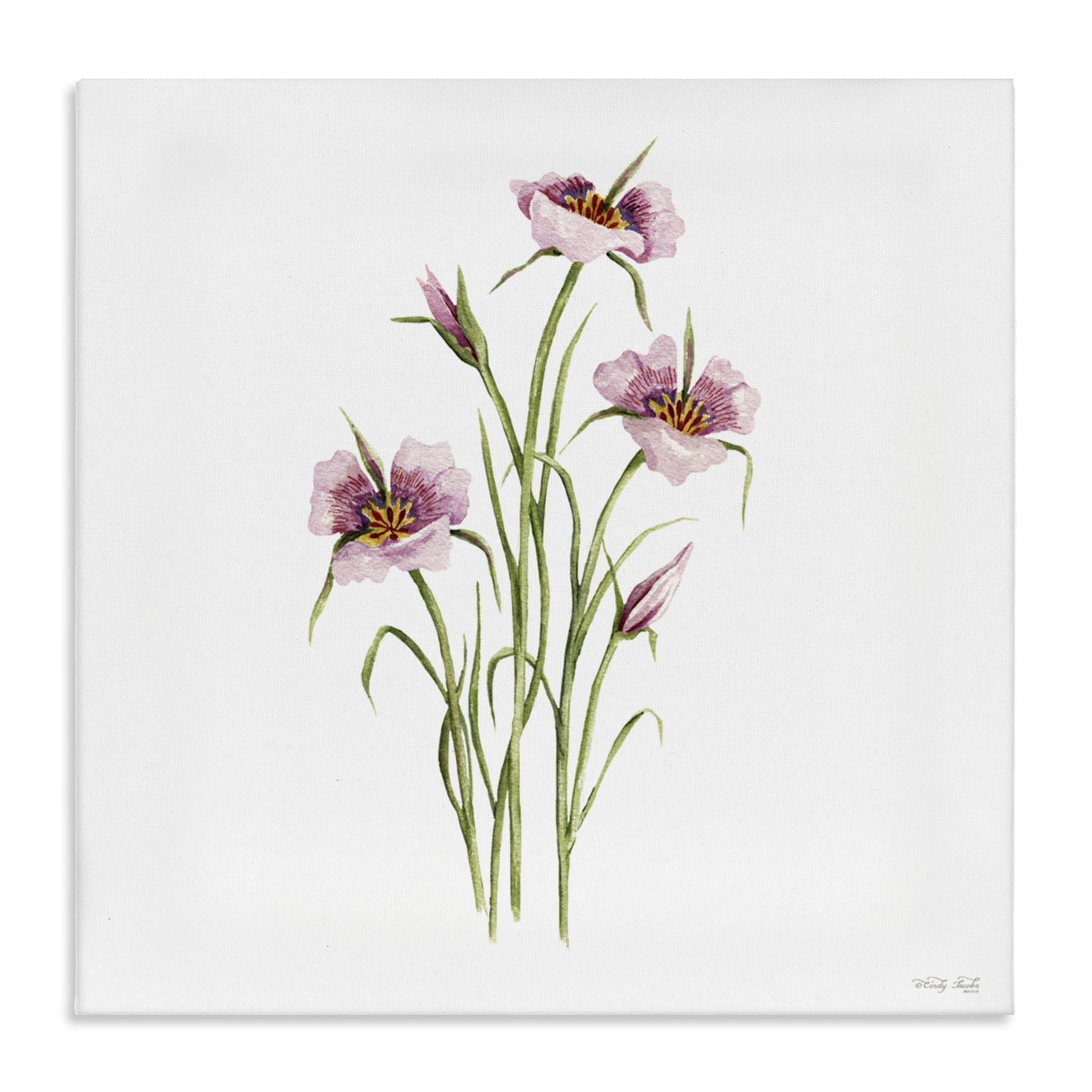 Stupell Industries Unframed Fuchsia Mariposa Botanical, 30 X 30 Inch Canvas Wall Art