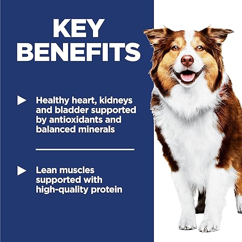 Vista 4 de Hill's Science Diet Adult 7+, Senior Adult 7+ Premium Nutrition, alimento seco para perros, pollo, arroz integral y cebada, bolsa de 15 libras