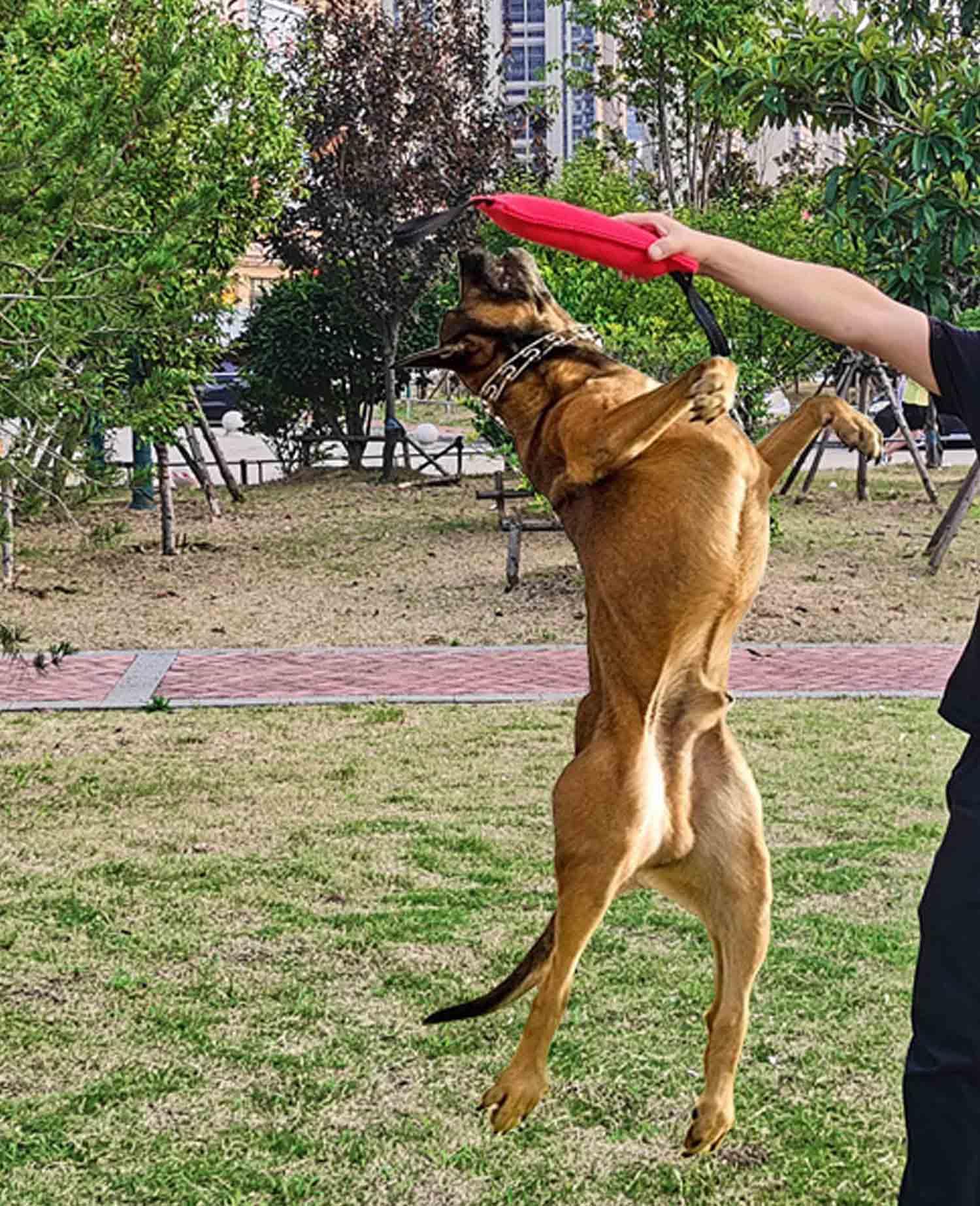 Puppy Chew Toys For Teething Heavy Duty Dog Tug Toy Jute Bite