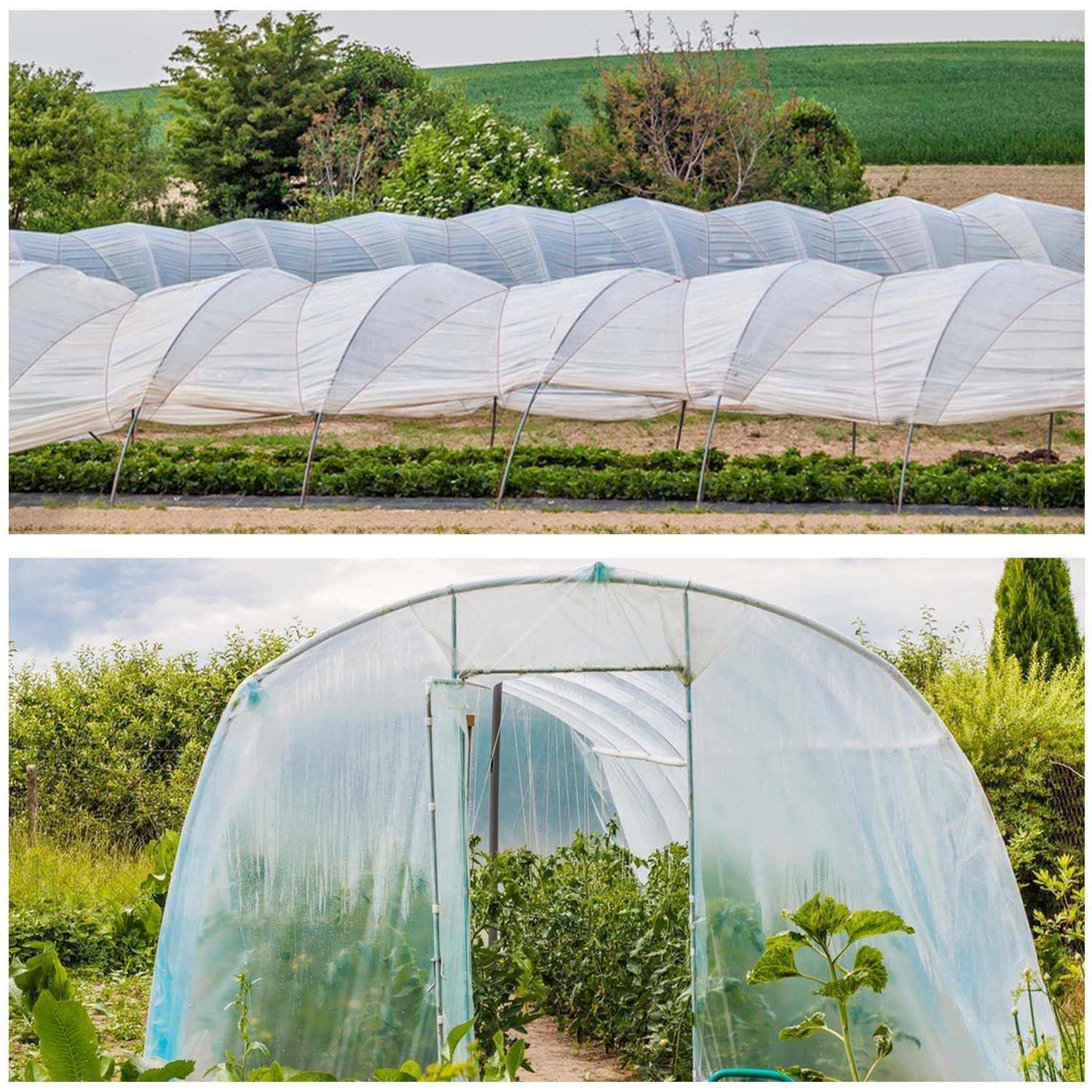 Plastico Invernadero, 2 x 10 Metros, Transparente, Reutilizable, Adecuado para Jardinería y Agricultura
