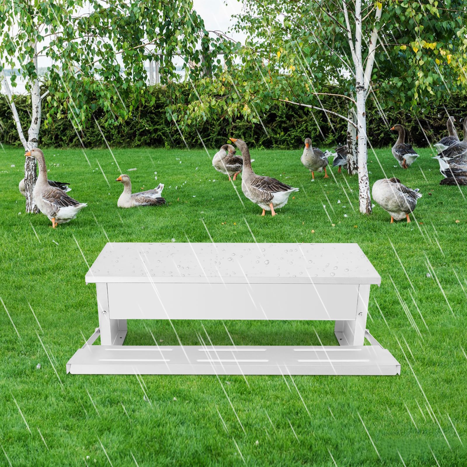 Comedero automático para gallinas, comedero automático para aves de corral de acero galvanizado, adecuado para la cría de pollos, gallinas y otras aves de corral