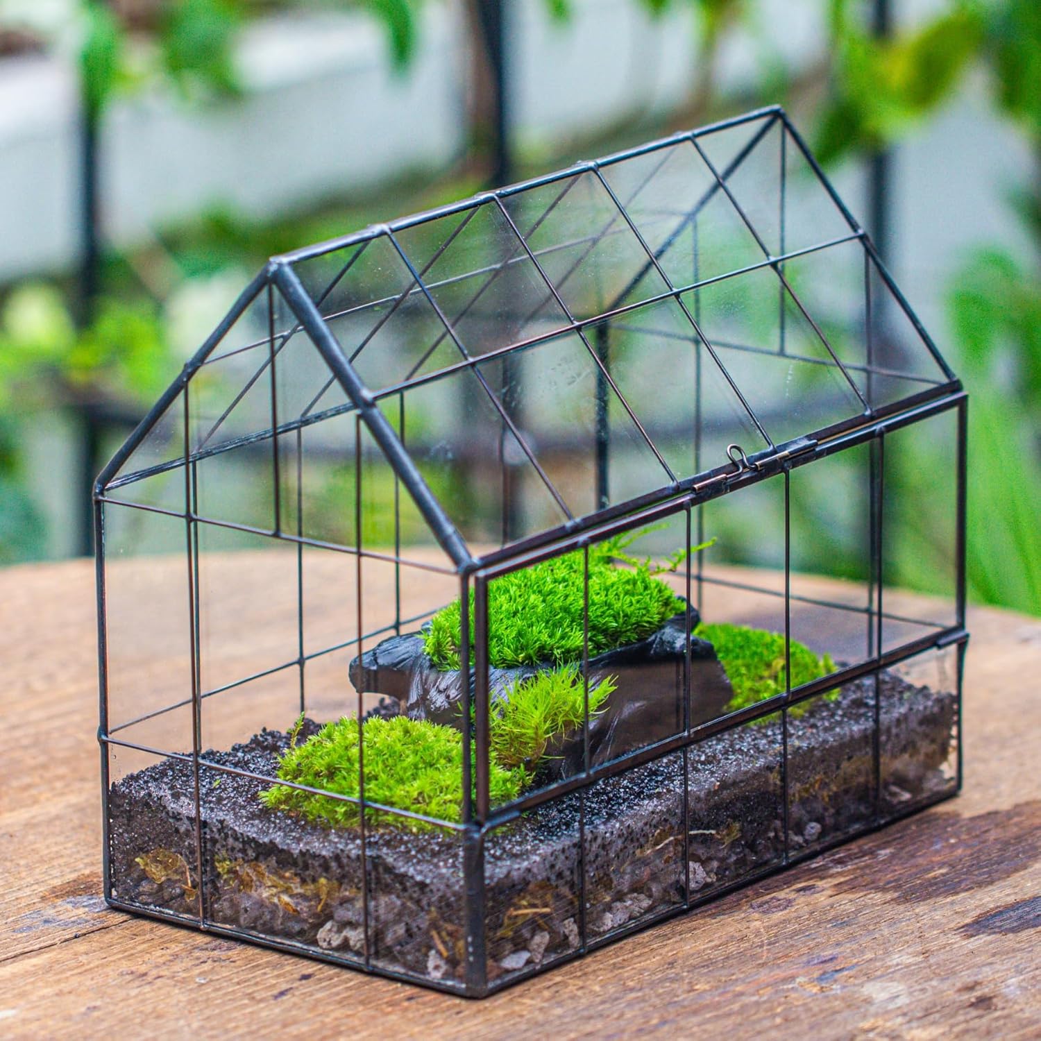 NCYP Glass Terrarium - Small Open Terrarium Planter, and Closed House Shape Glass Terrarium, for Small Succulent Cacti, Ferns, Indoor Home Garden Office Tabletop Decor (No Plants)