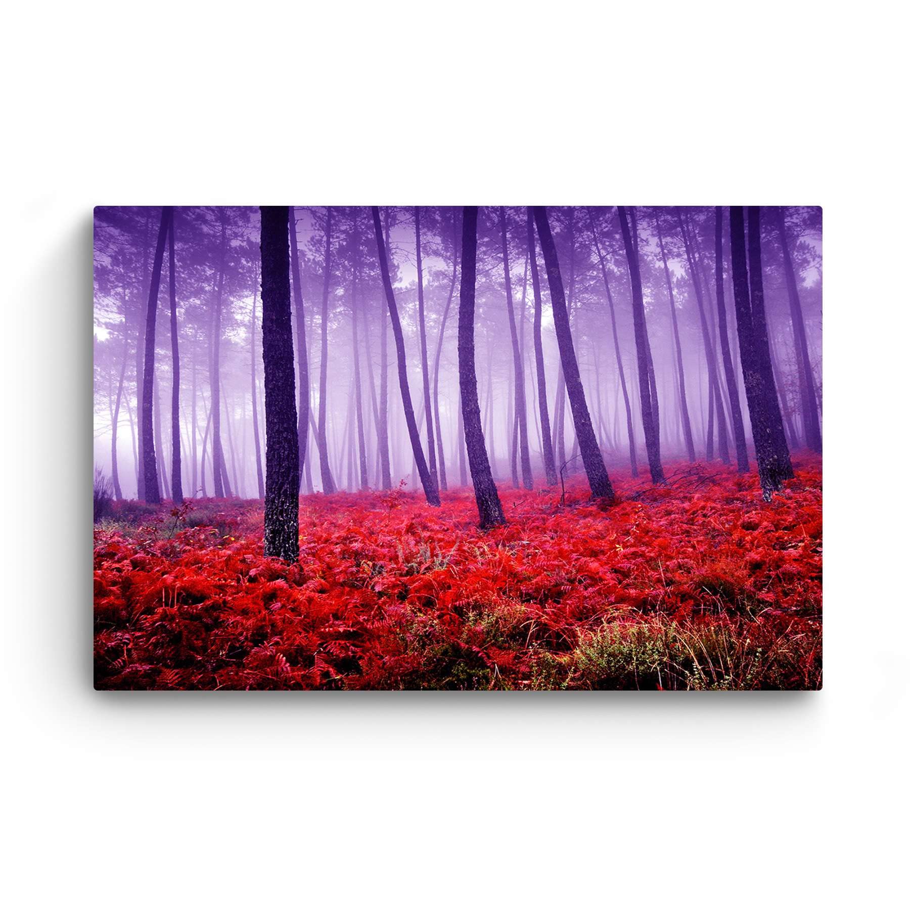 Startonight Impression Sur Toile Lumineux Peinture Forêt Rouge Pourpre, Tableau Paysage Nature - Decoration Murale Salon Moderne - Image sur Toile - 60 x 90 cm Idée Cadeau Élégante et Originale