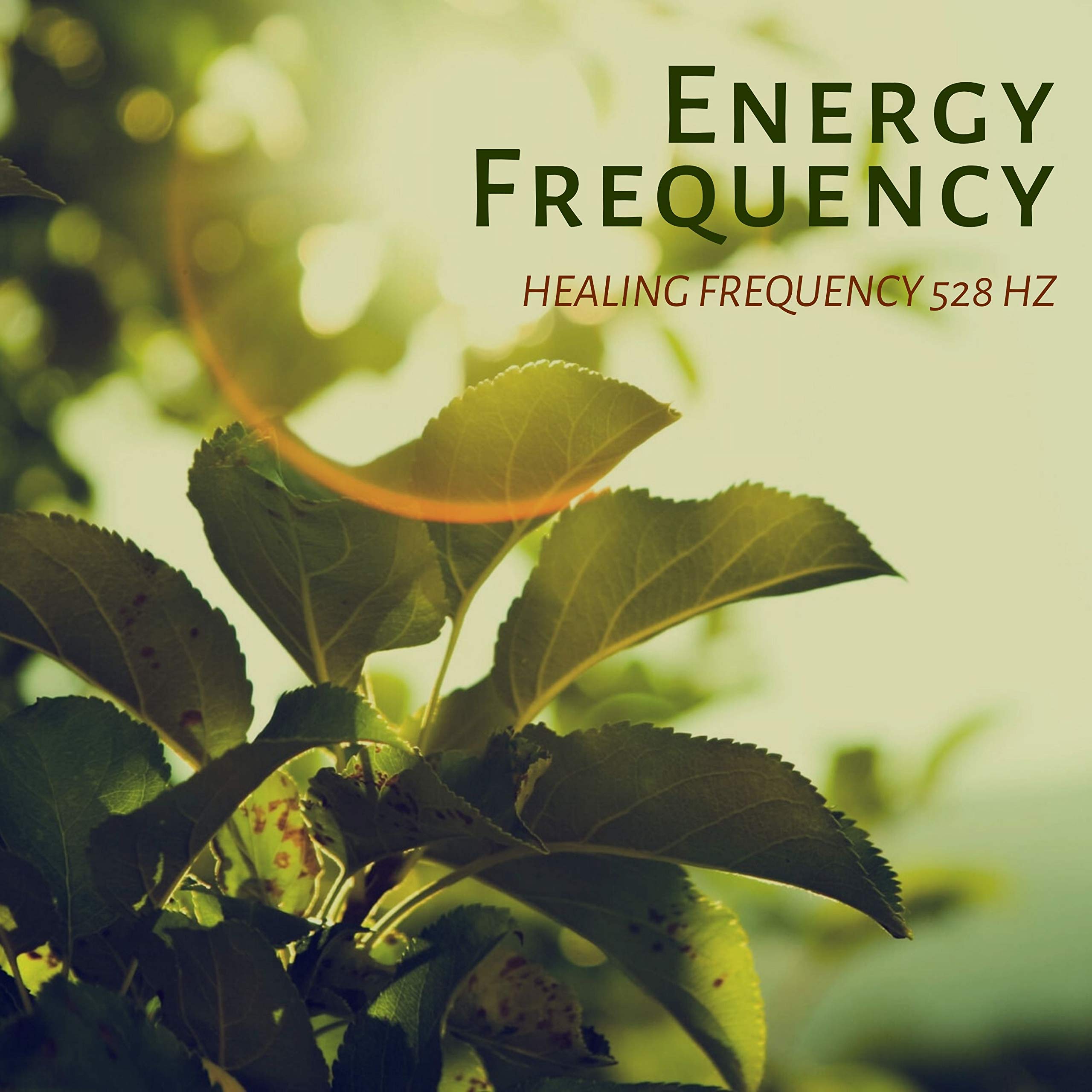 Energy Healing Meditation