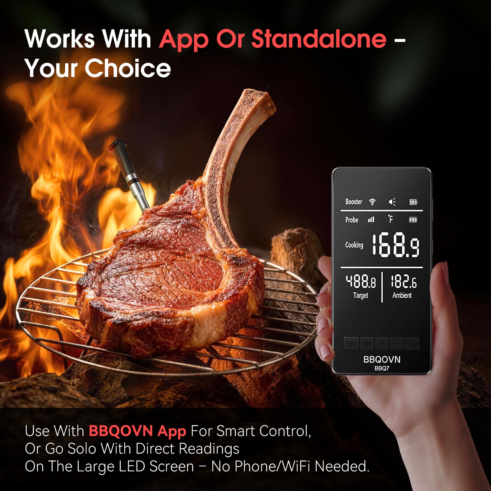 BBQOVN Termometro per carne WiFi (1, argento, piccolo)