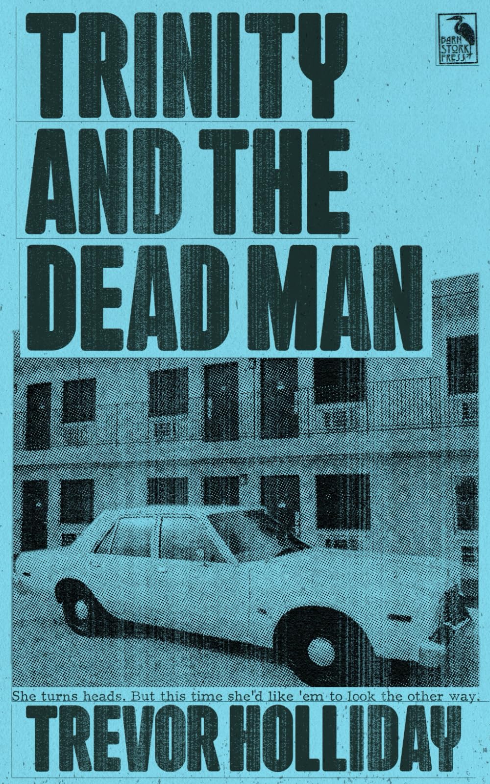 Trinity and the Dead Man: 7 (Frank Trinity Novels)