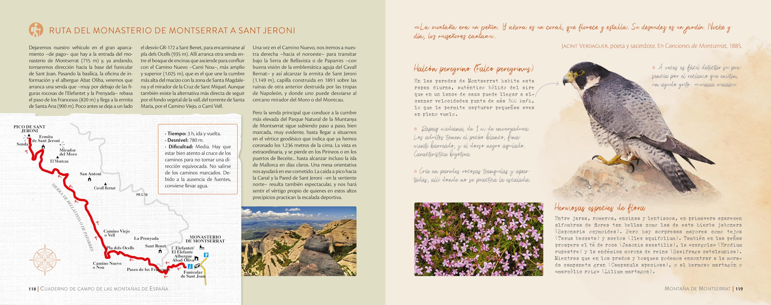 Cuaderno de campo de las montañas de España (Guías Singulares)