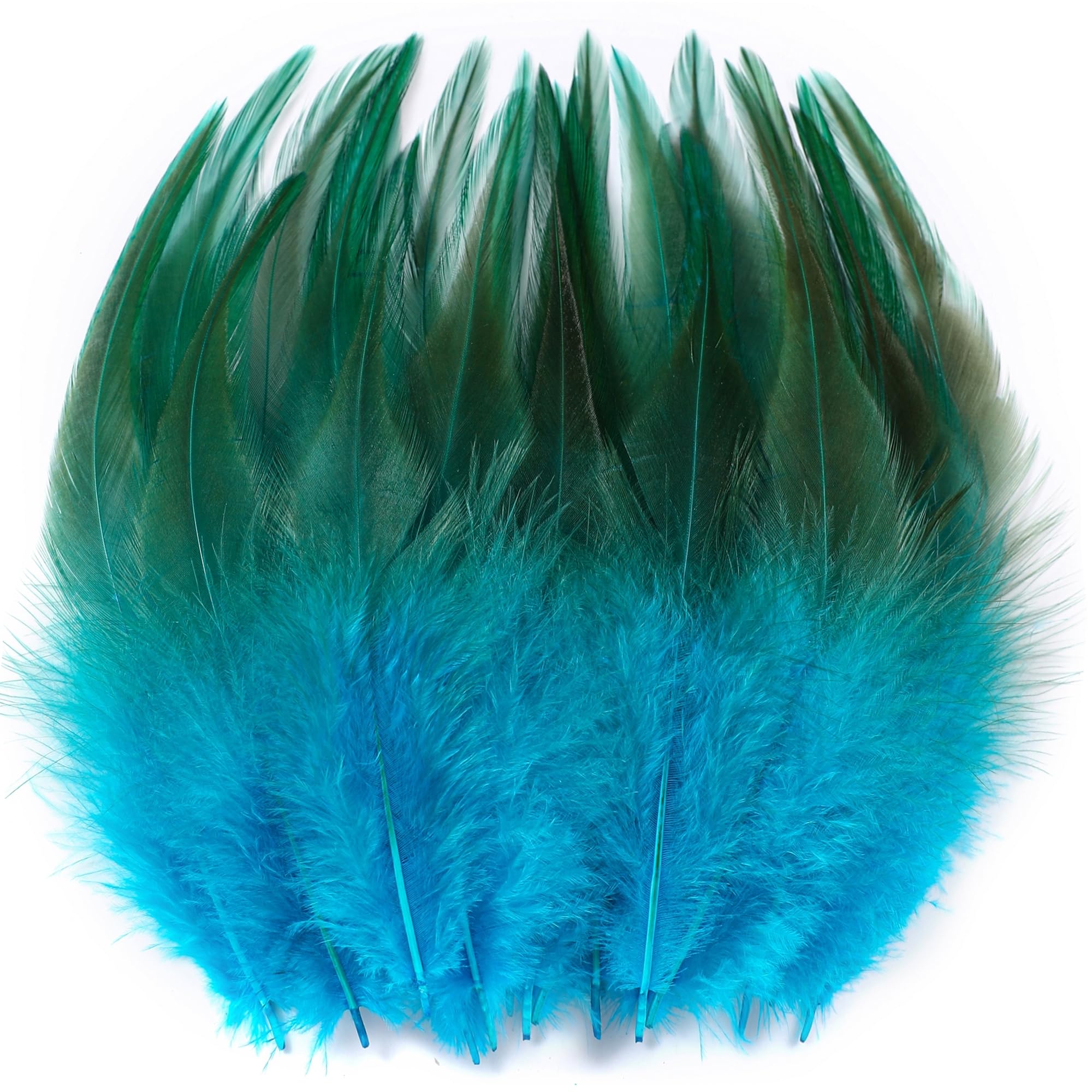 Holmgren Turquoise Craft Rooster Feathers -200pcs 5-7inch Rooster Feathers Bulk for DIY Crafts and Halloween Party Decoration (Turquoise)