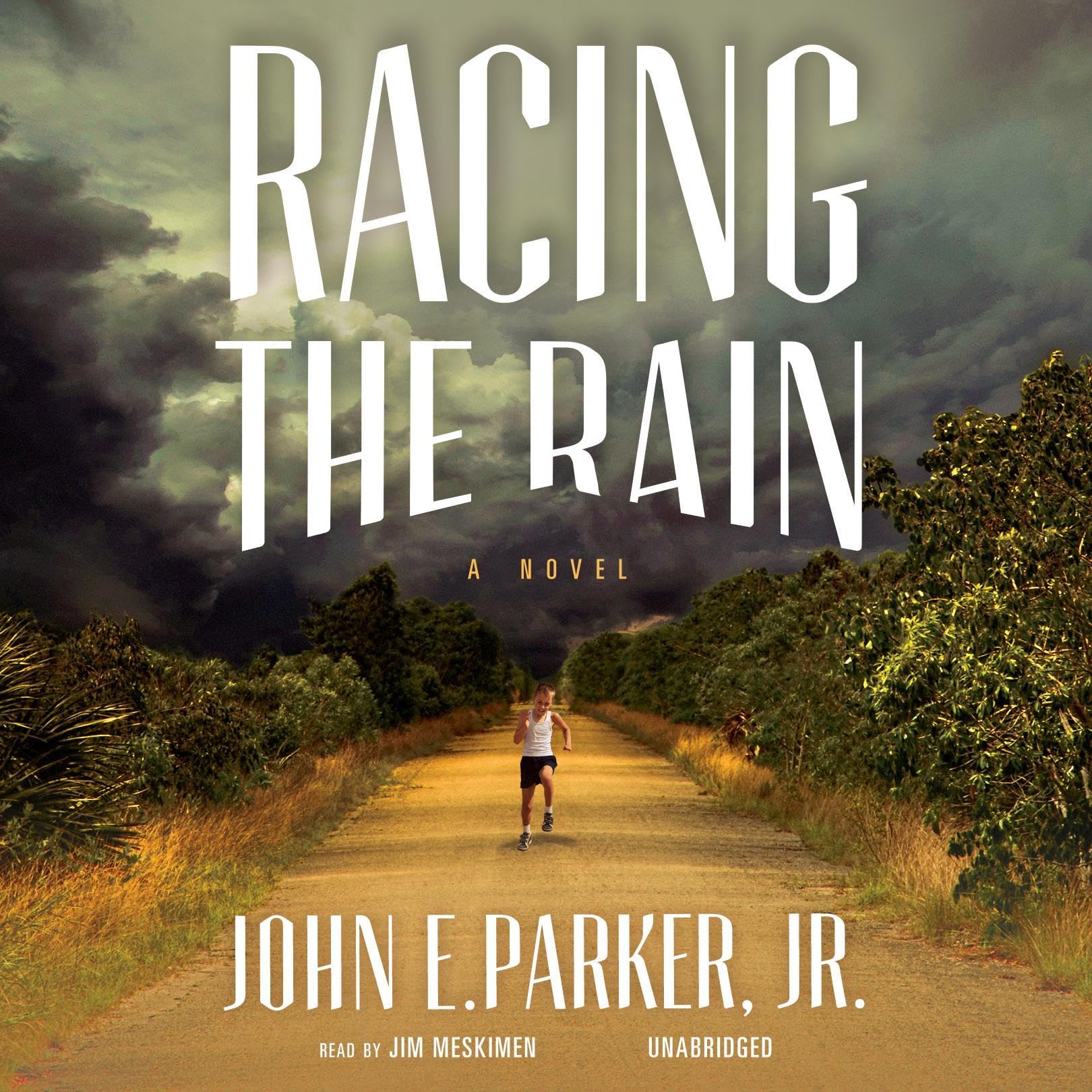 Cover art for Racing the Rain