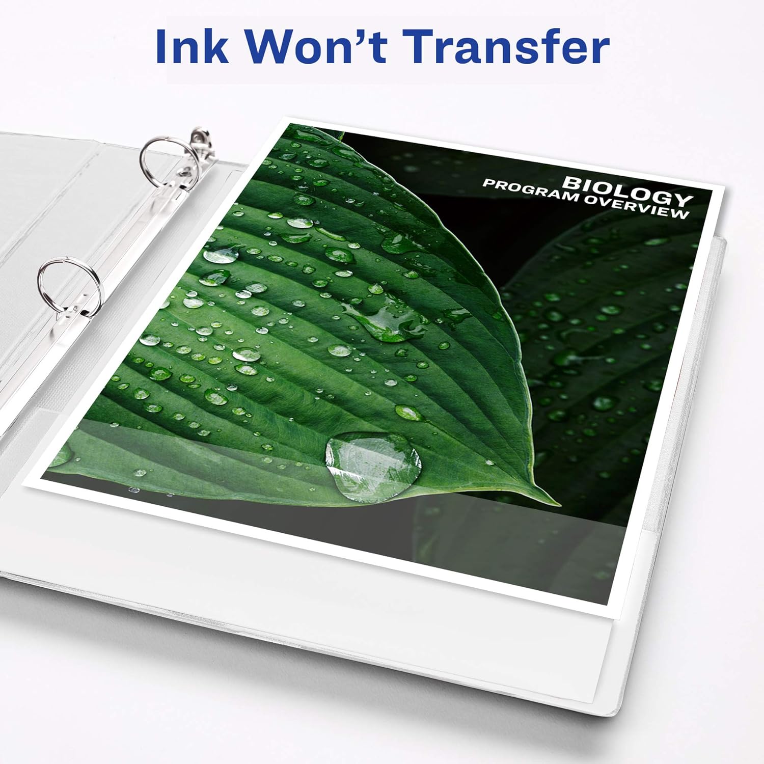 Compare Avery 3 Ring vs One Touch Slant: Both Tested, Big Capacity... Who Wins?