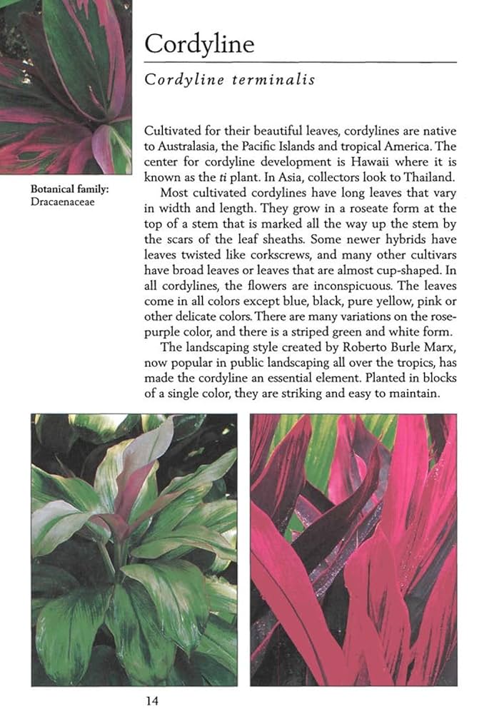 洋書 TROPICA: Exotic Plants and Trees 洋書 TROPICA: Exotic