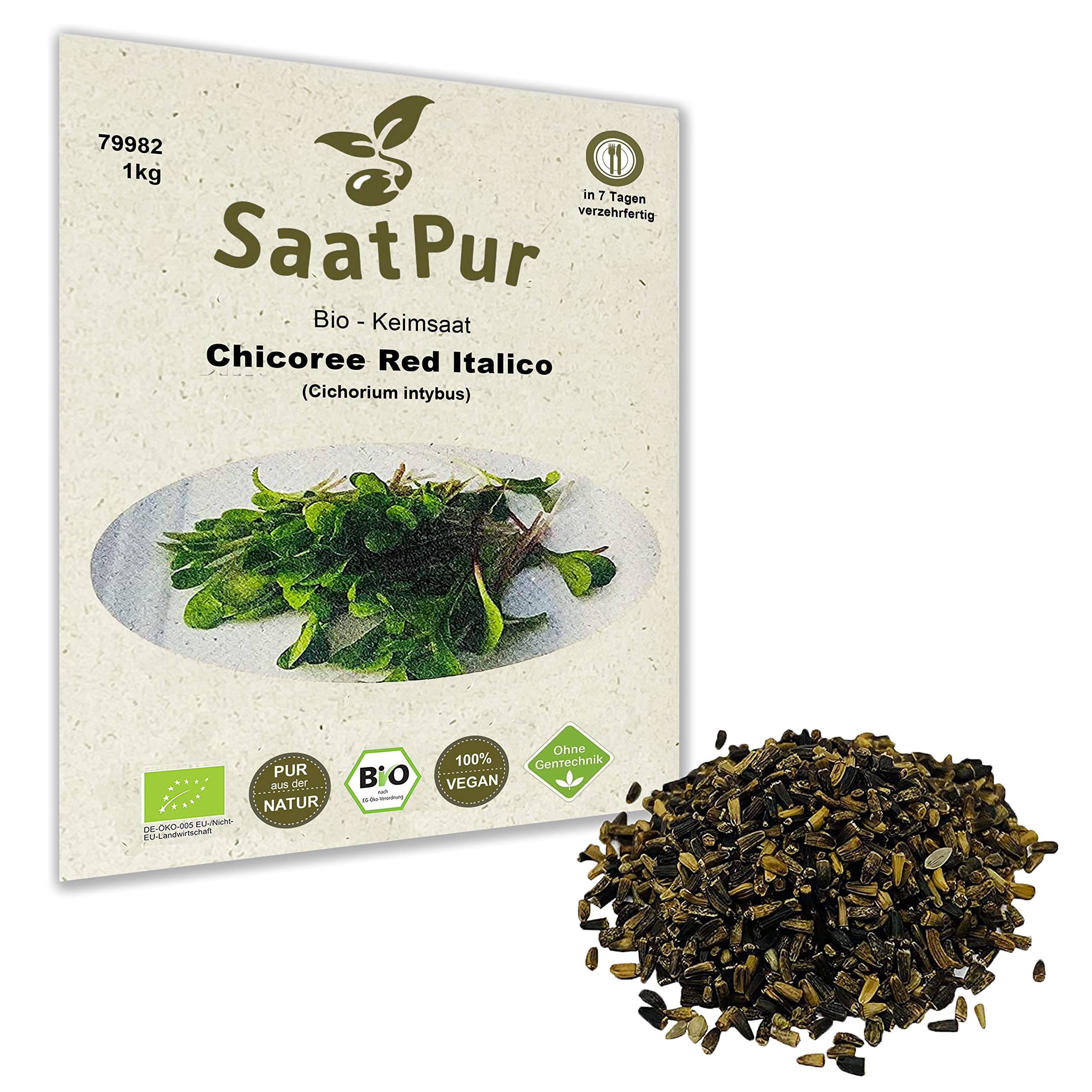 1Kg BIO Keimsprossen Chicory Red Italico Samen für die Sprossenanzucht Sprossen Microgreen Mikrogrün