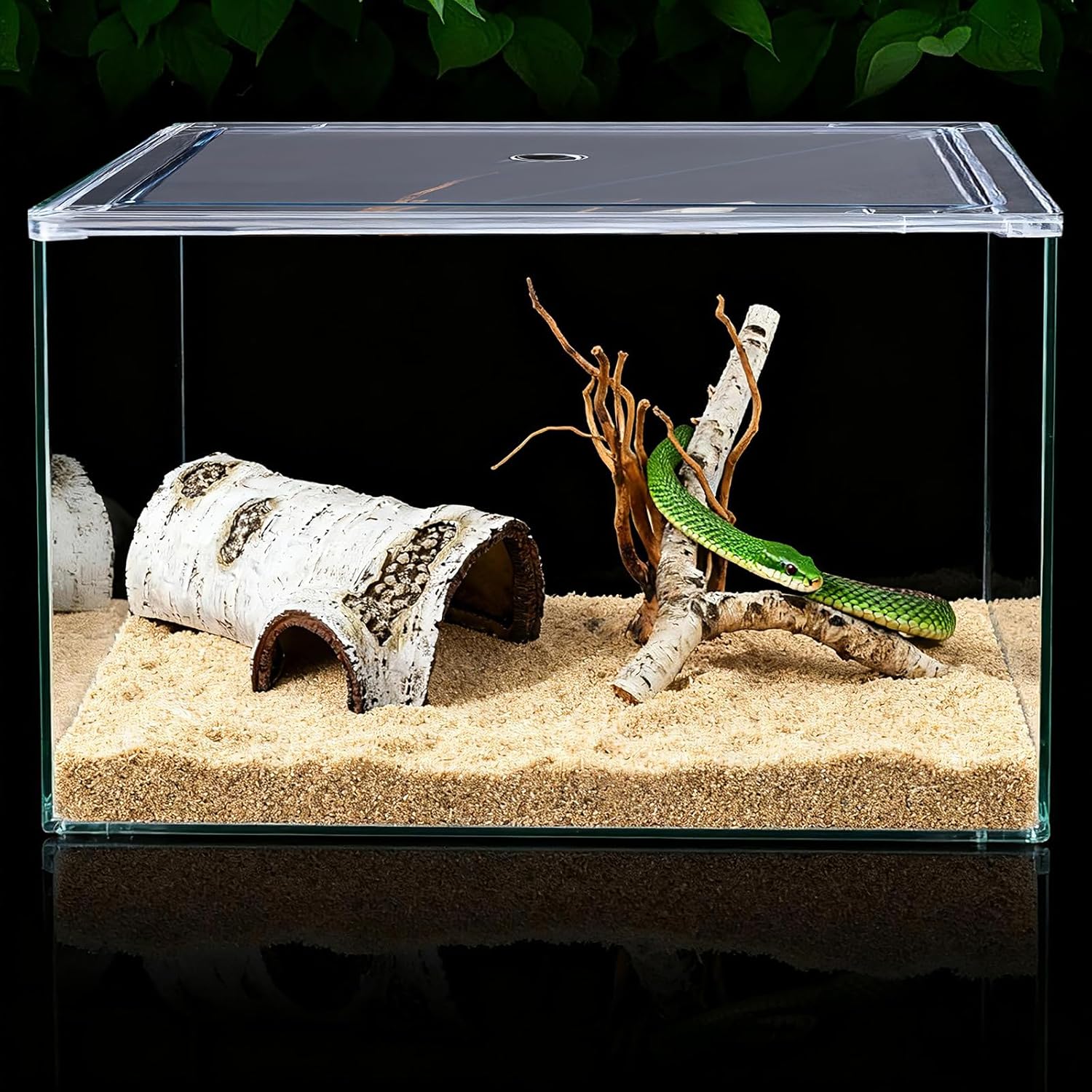 Natural Reptile Hide Basking Platform, Hideout Decor for Aquarium, Fish Tank, Bearded Dragon, Gecko, Shrimp, Betta (Birch Tree Hiding Cave, Large)