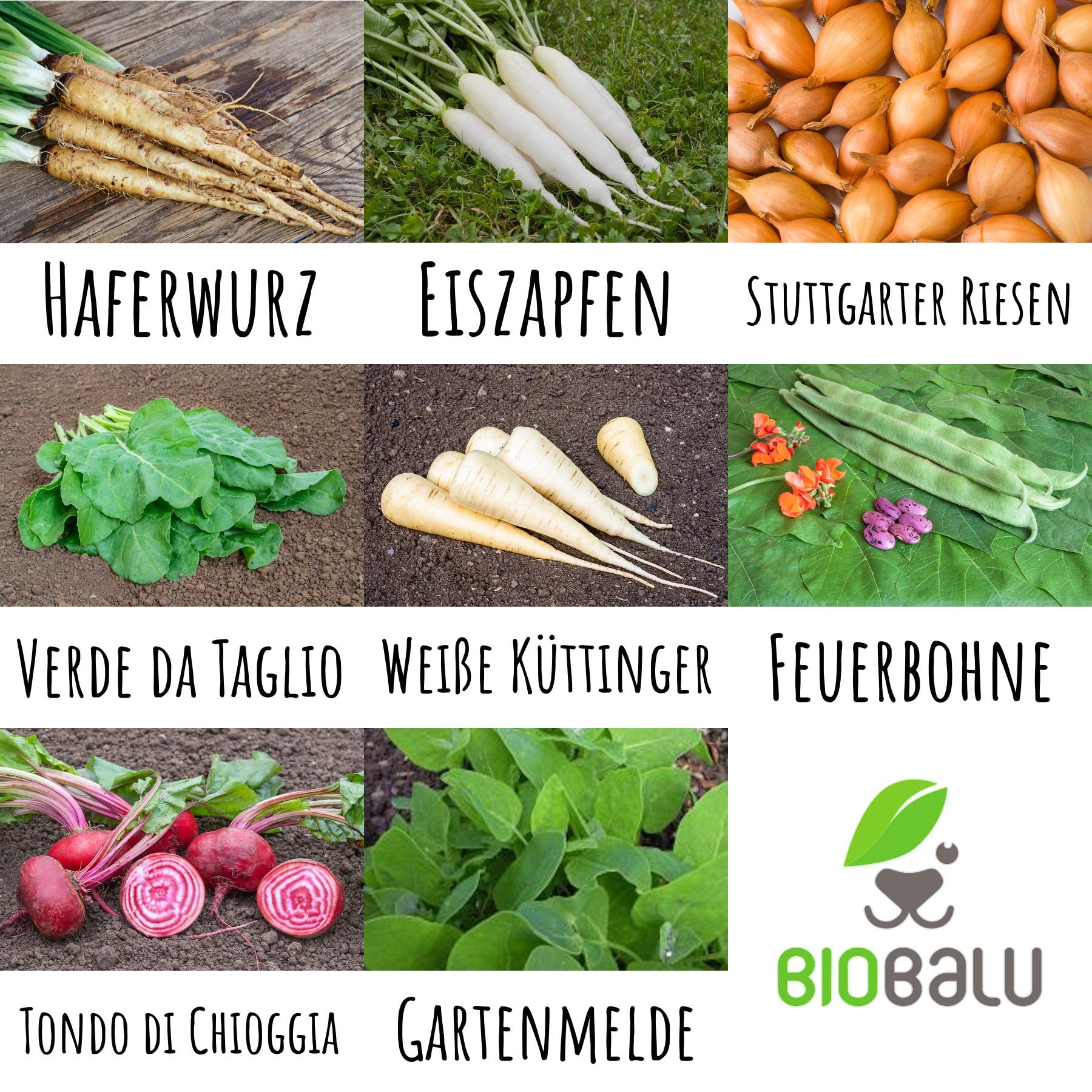 Biobalu Gemsesamen Bio - 8 Alte Sorten - Historisches Saatgut Set Gemse,  Saatgut Raritten in Bioqualitt, Samenfeste & Seltene Gemsesorten fr  Freiland, Gewchshaus & Balkon - Geschenkset : Amazon.de: Garten