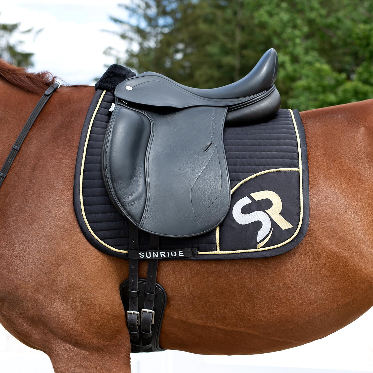 SUNRIDE Mantilla de Doma para Caballos - Material de Malla como ventilación Adicional contra la acumulación de Calor, de fácil Cuidado y Que Mantiene la Forma (Pony, Negro/Oro)