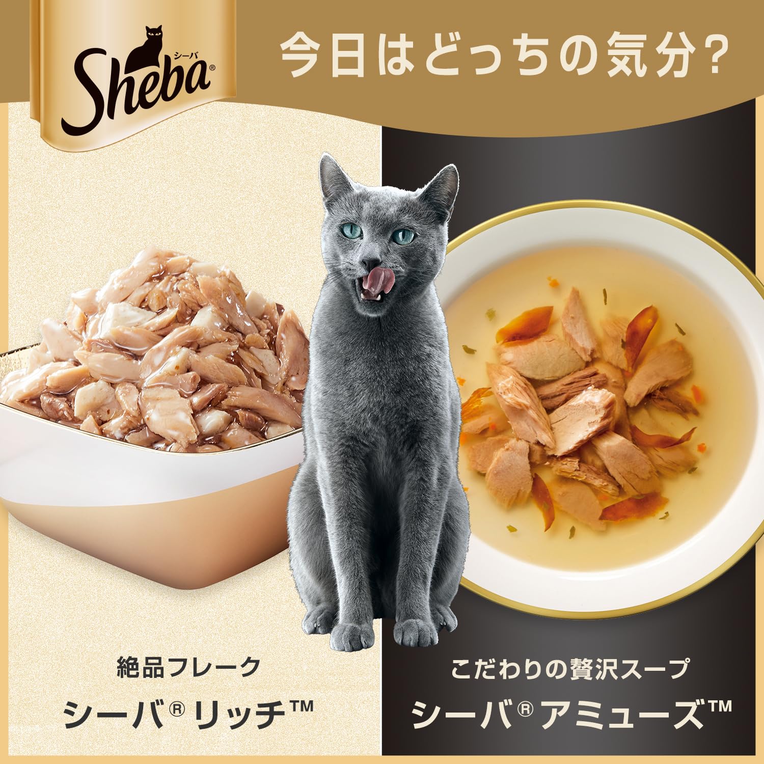 【パウチ】シーバ スープ 蟹かま・サーモン12袋×12箱&その他 Amazon.co.jp: シーバ アミューズ ウェット 成猫用 シーフードスープ