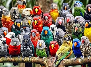 Kaleidoscope of Feathers: Premium 1000 Piece Jigsaw Puzzle for Adults by Cross & Glory - Unique Bird Artwork - Best Challe...