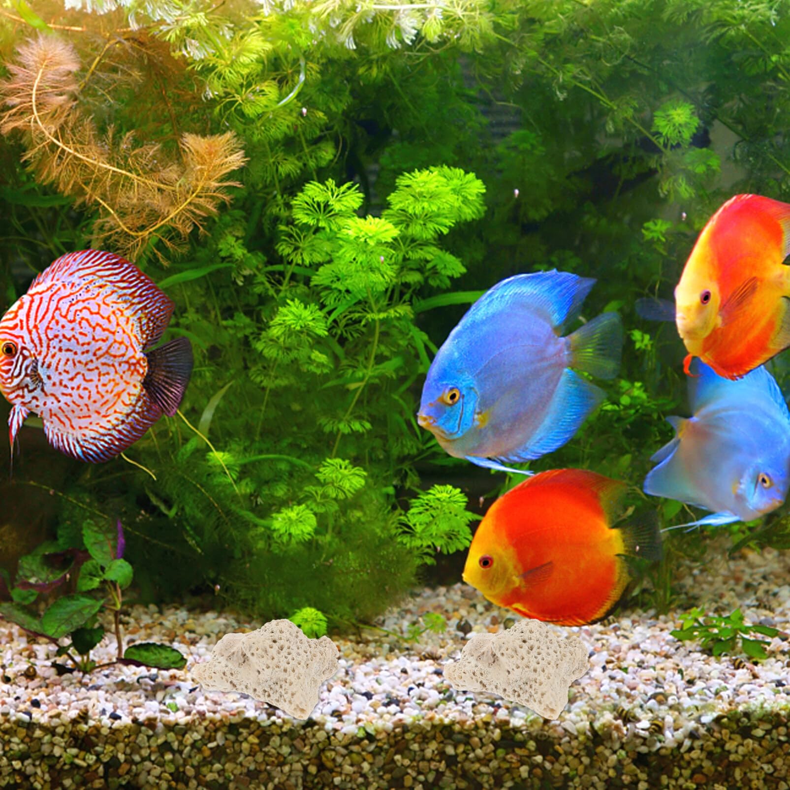 Verpletterd Koraal Voor Aquarium, Plastic Kunstmatig Aquarium Koraal Ornament Oceaan Plant Ornamenten Aquarium Planten Aquarium Decor Voor Aquarium Onderwater Aquarium Tuin Lands