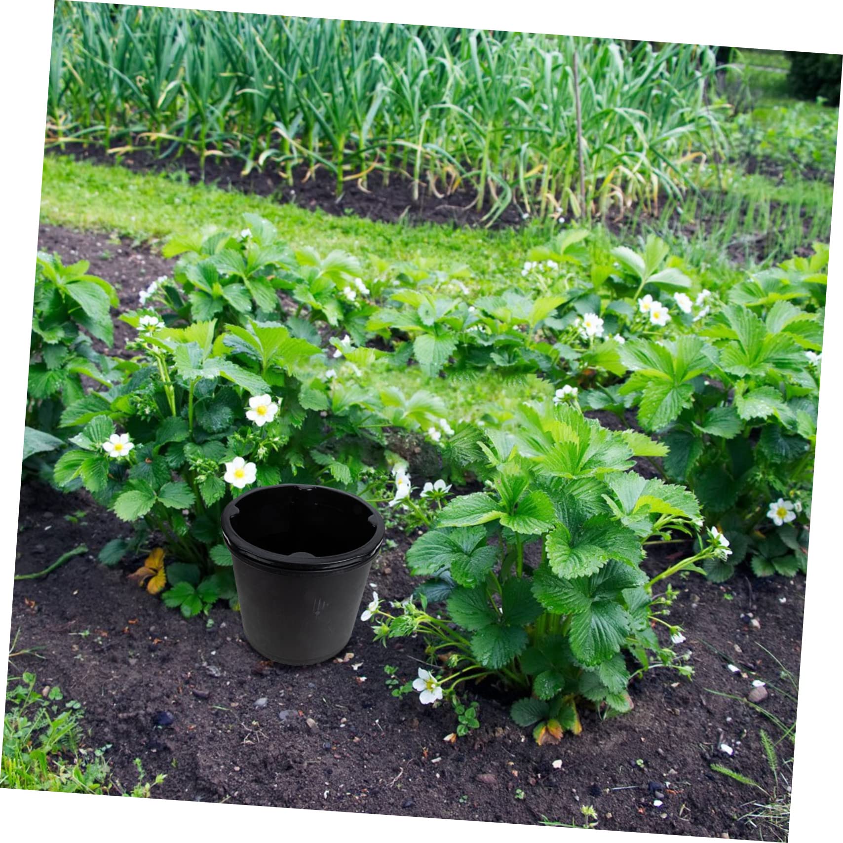1satz Von Kartoffeln Robuster Pflanzbehälter Für Süßkartoffeln Und Für Garten Balkon Und Schwarz Durchmesser