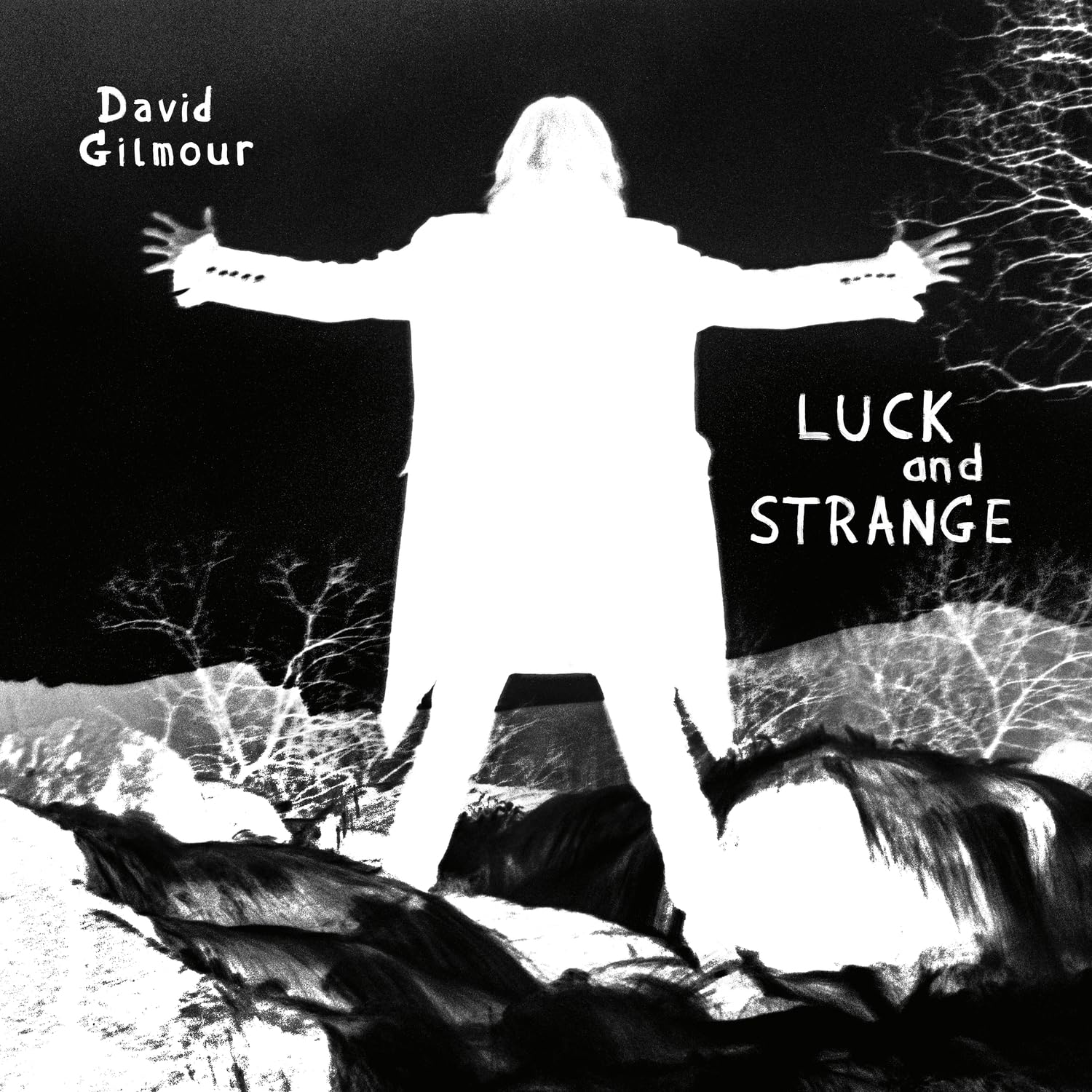 Luck and Strange (Amazon Exclusive CD) David Gilmour Amazon.de Musik