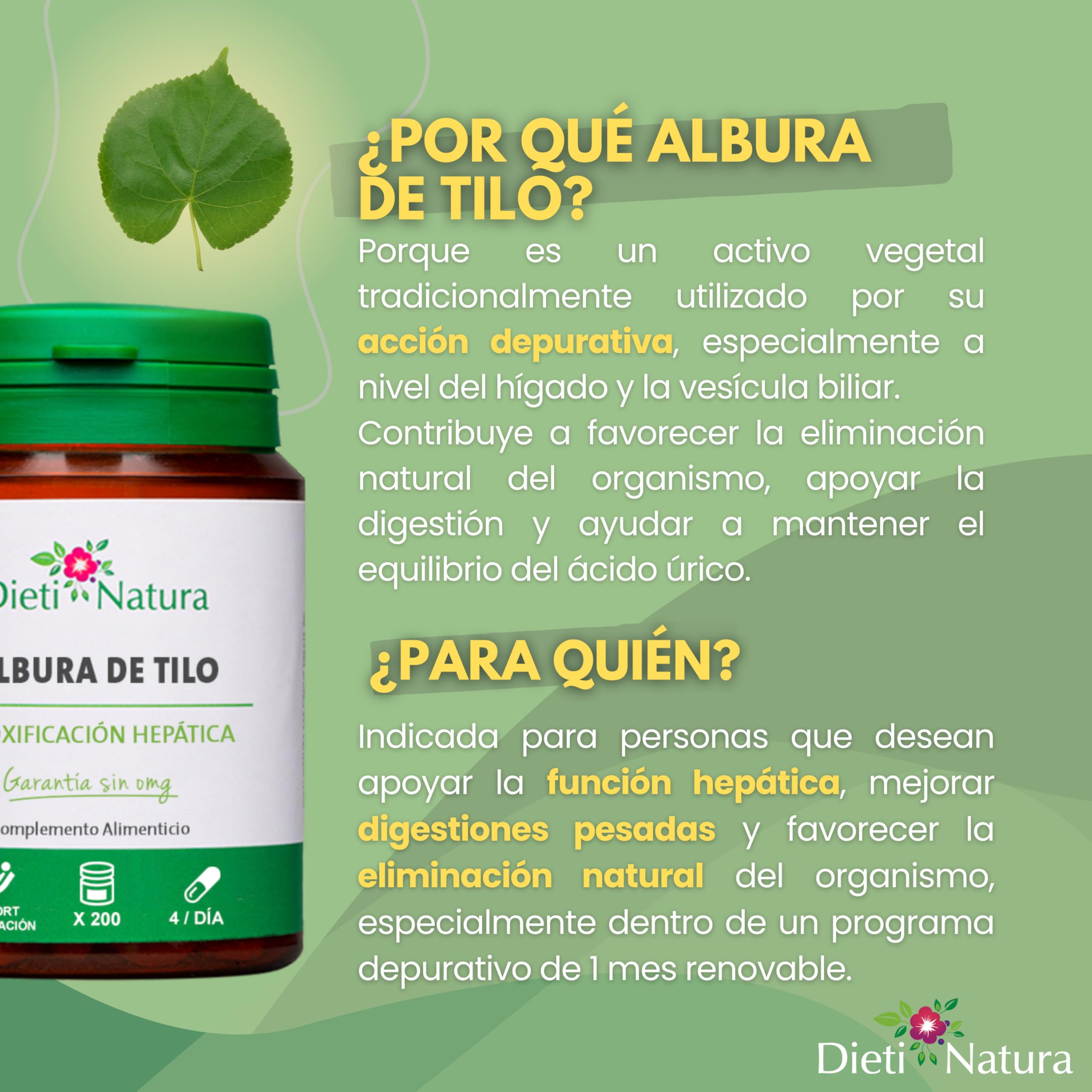 Dieti Natura Albura de Tilo Detoxificación Hepática y Bienestar Digestivo - 2480mg extracto 4:1 - Albura de Tilo Rica en Activos Naturales - Depuración Hígado y Vesícula (Pack de 3)
