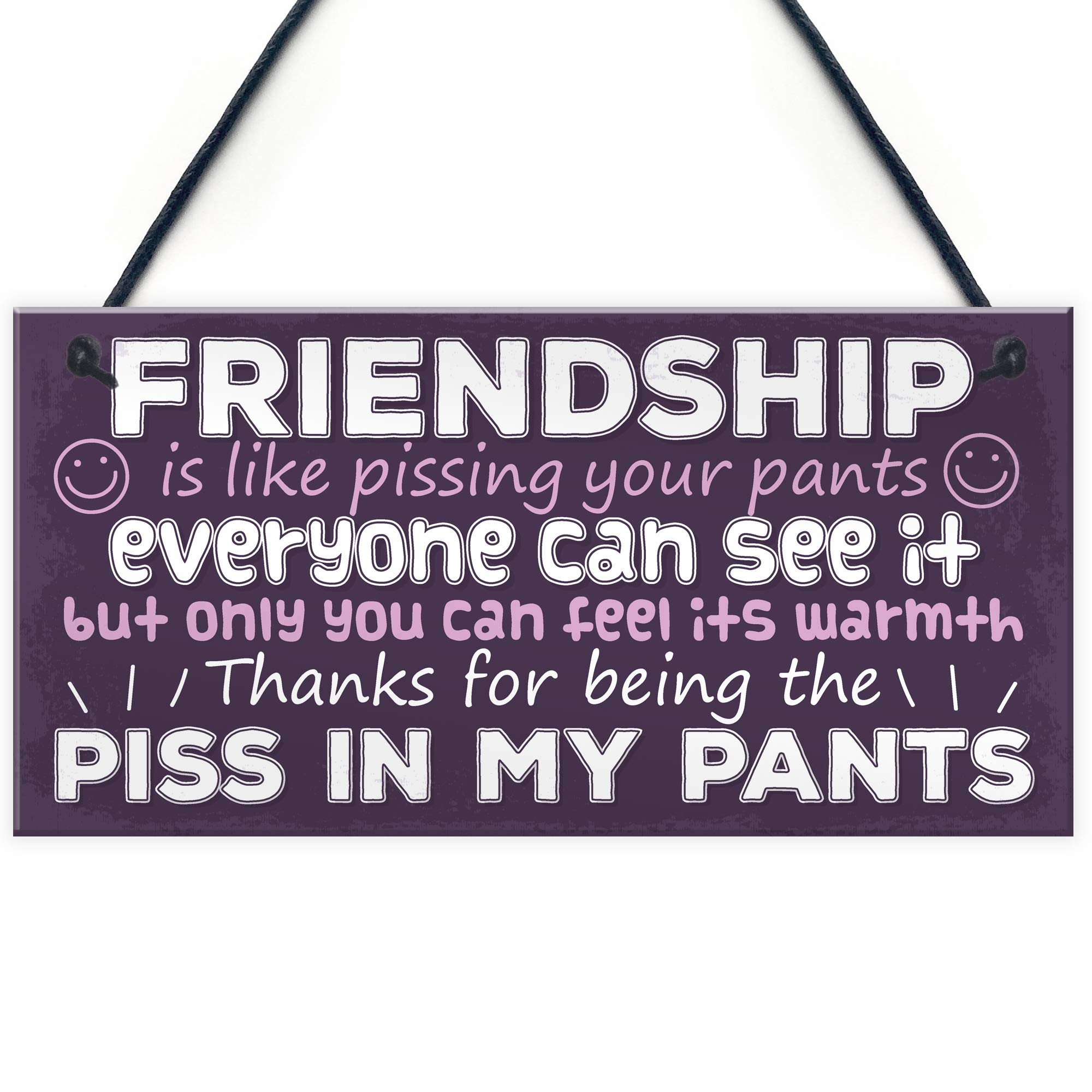 Red Ocean Funny Rude Friendship Gift Best Friend Hanging Sign Novelty Birthday Christmas Thank You Gifts