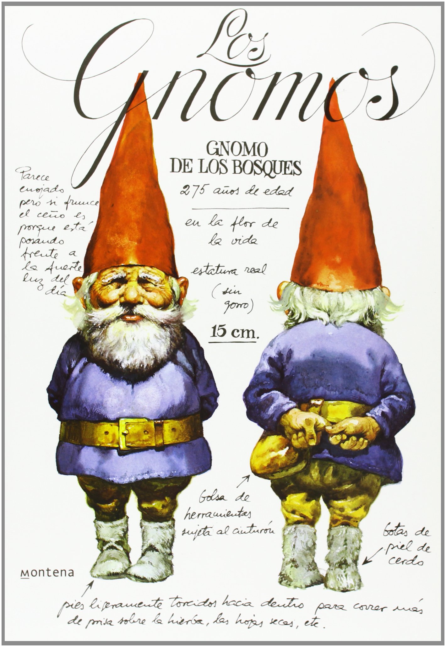 GNOMOS (TD) (Libros ilustrados)