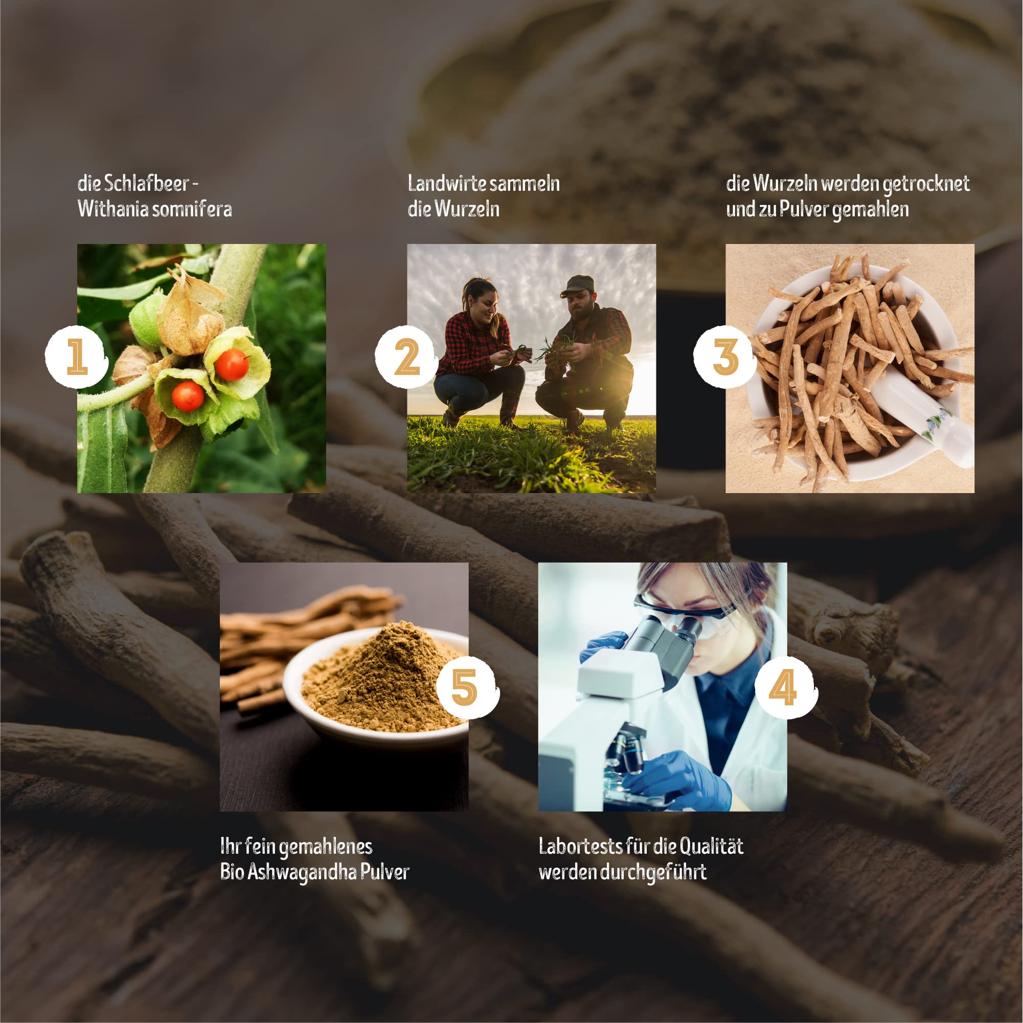 Polvo orgánico de Ashwagandha de Monte Nativo - 700g - Polvo de Raíz Molida - Ginseng Indio - Cereza de Invierno - Withania Somnífera - Certificado Orgánico - Probado en Laboratorio