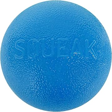 Planet Dog Orbee-Tuff Recycle Ball