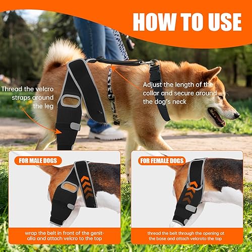 Miniatura 6 de Rodillera para perro para pierna trasera desgarrada, soporte de pierna de perro para osteoartritis, lesiones de ligamento cruzado o recuperación