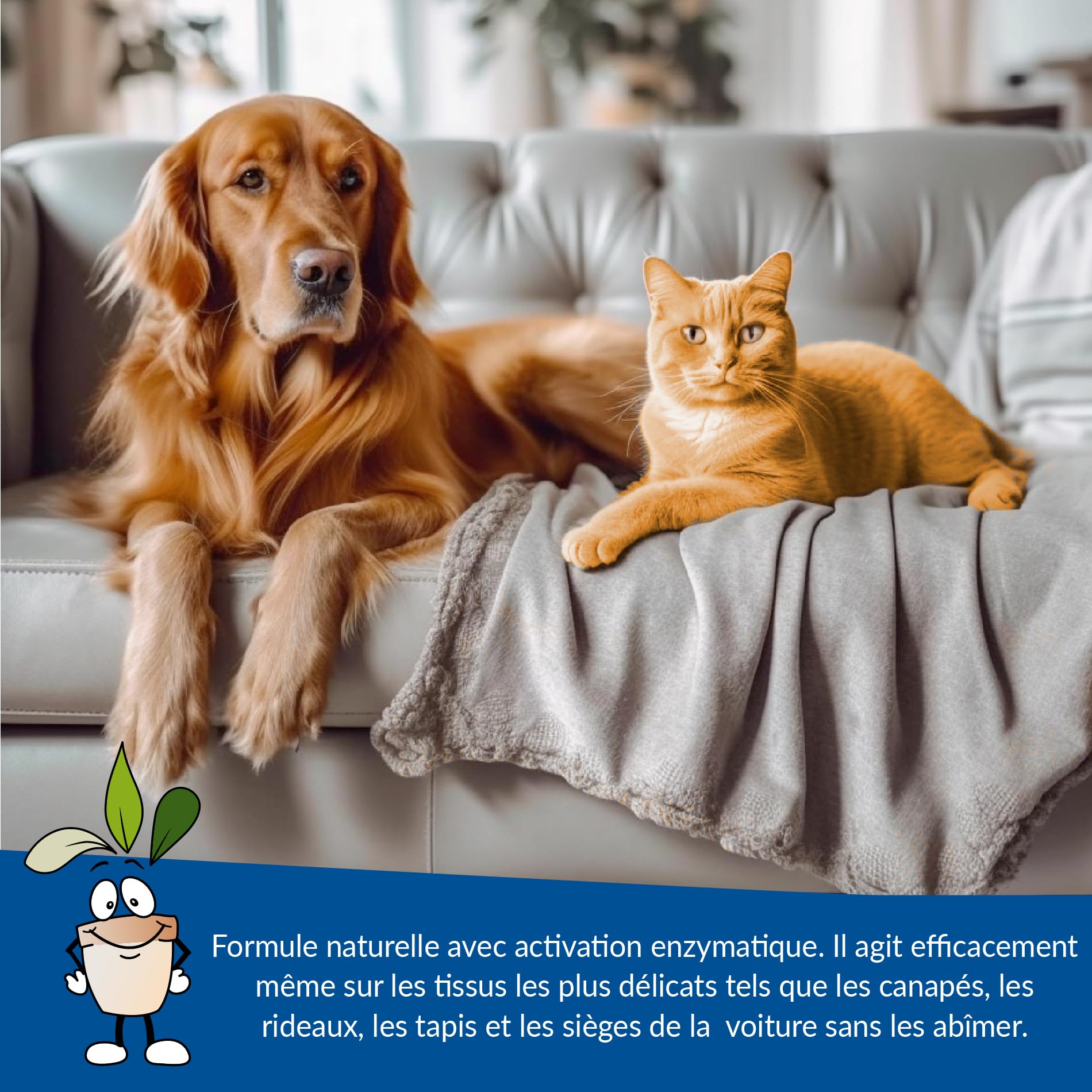 CLOSTER STOPPEE Spray hygiénisant Elimine les odeurs et dissout l'urine et les fèces des chiens et des chats, Combat les odeurs désagréables avec le parfum pomme verte 500 ML + recharge 500 ML