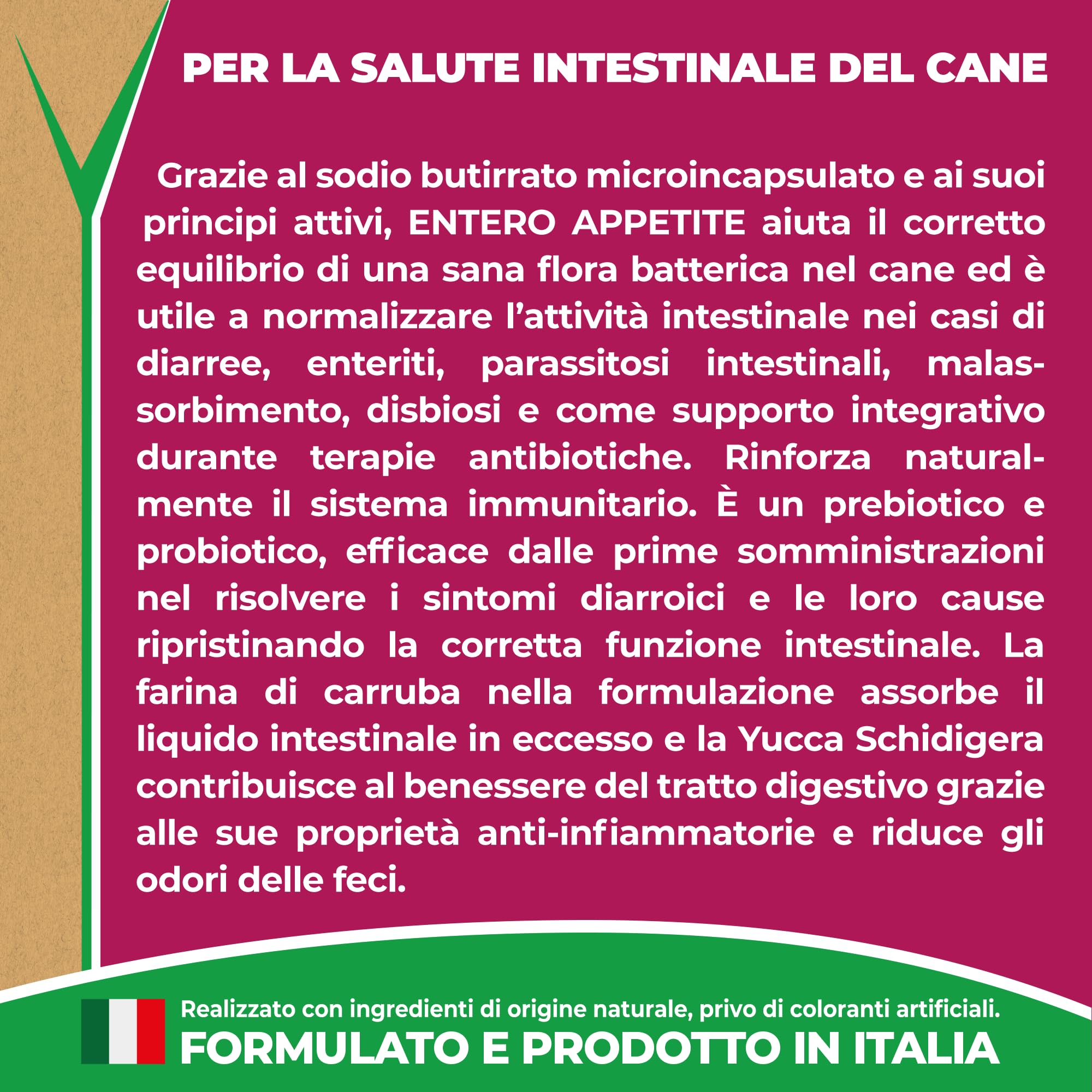 EVVIVA Entero Appetite | Probiotici per Cani a base di Sodio Butirrato per l’Equilibrio della Flora Batterica e il Benessere Intestinale, Integratore per cani efficace soluzione per la Diarrea Cane