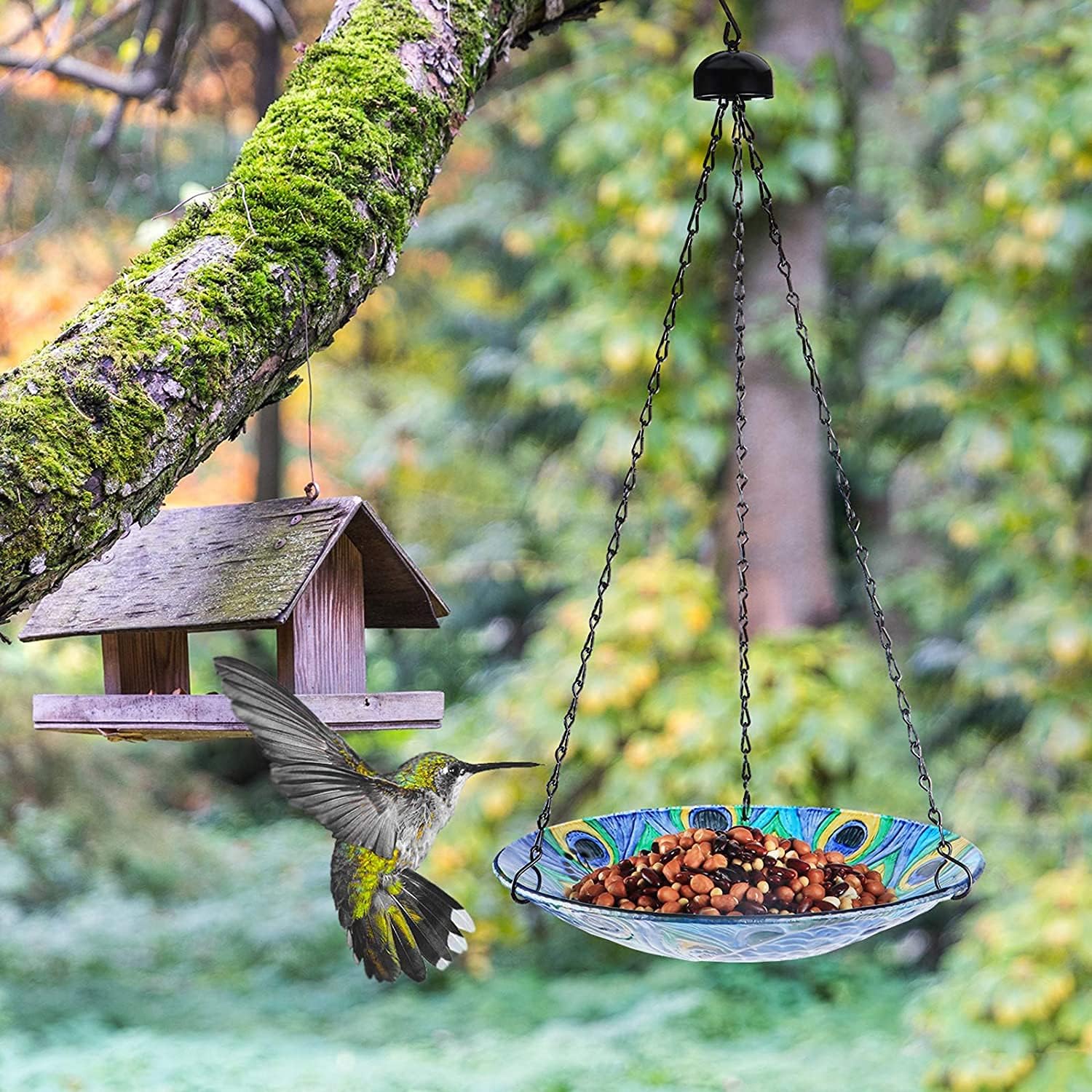 VCUTEKA Bird Bath Hanging for Outdoor Glass Small Bird Feeder Bowl Garden Decoration 11 Inch Peacock (Peacock 1)