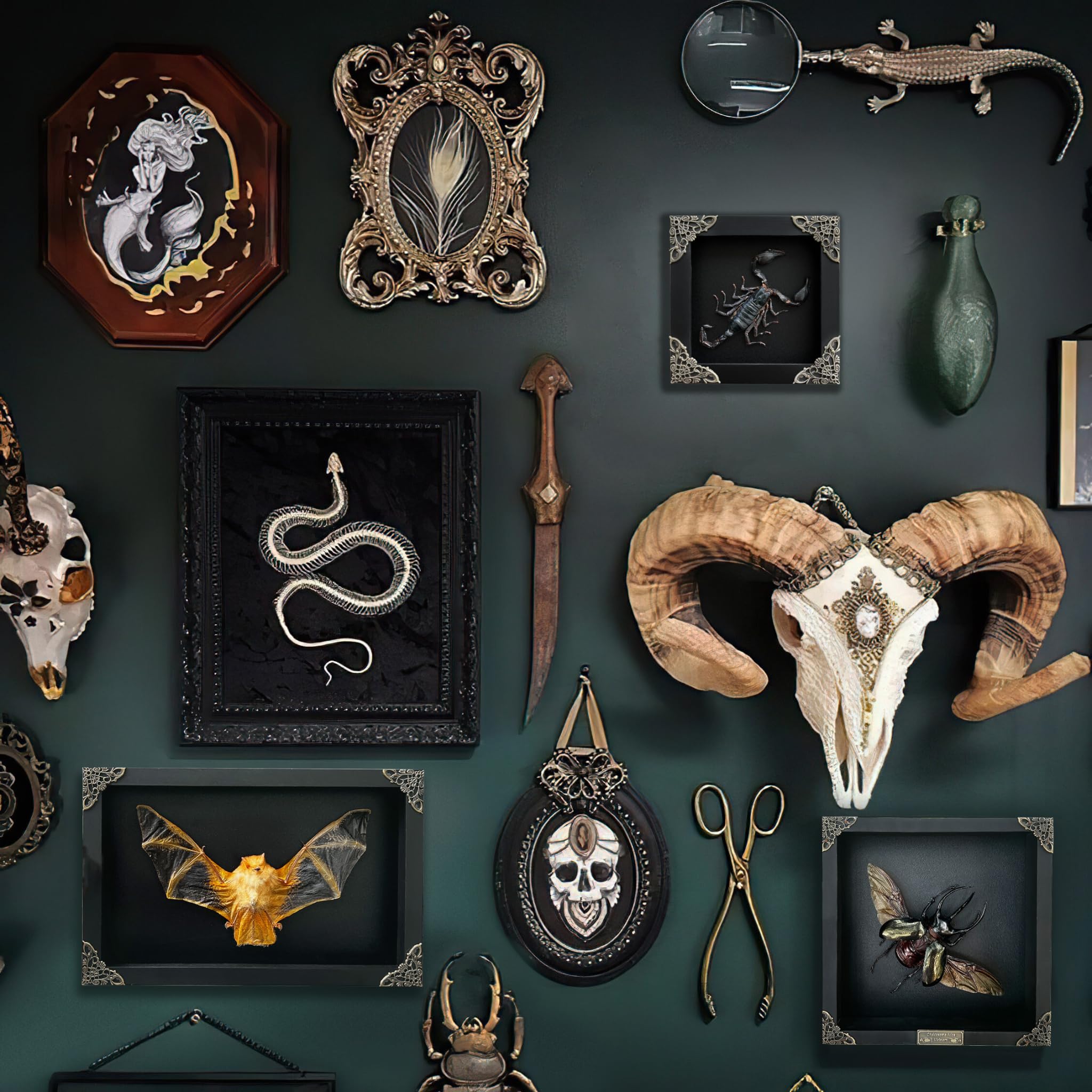 Real Framed Scorpion Dead Insect Dried Bug Beetle Lover Black Frame Shadow Box Taxidermy Oddity Collectables Specimen Decoration Reading Tabletop Wall Art Home Decor Living Gallery K12-51-DE: Scorpion #51 Black Frame