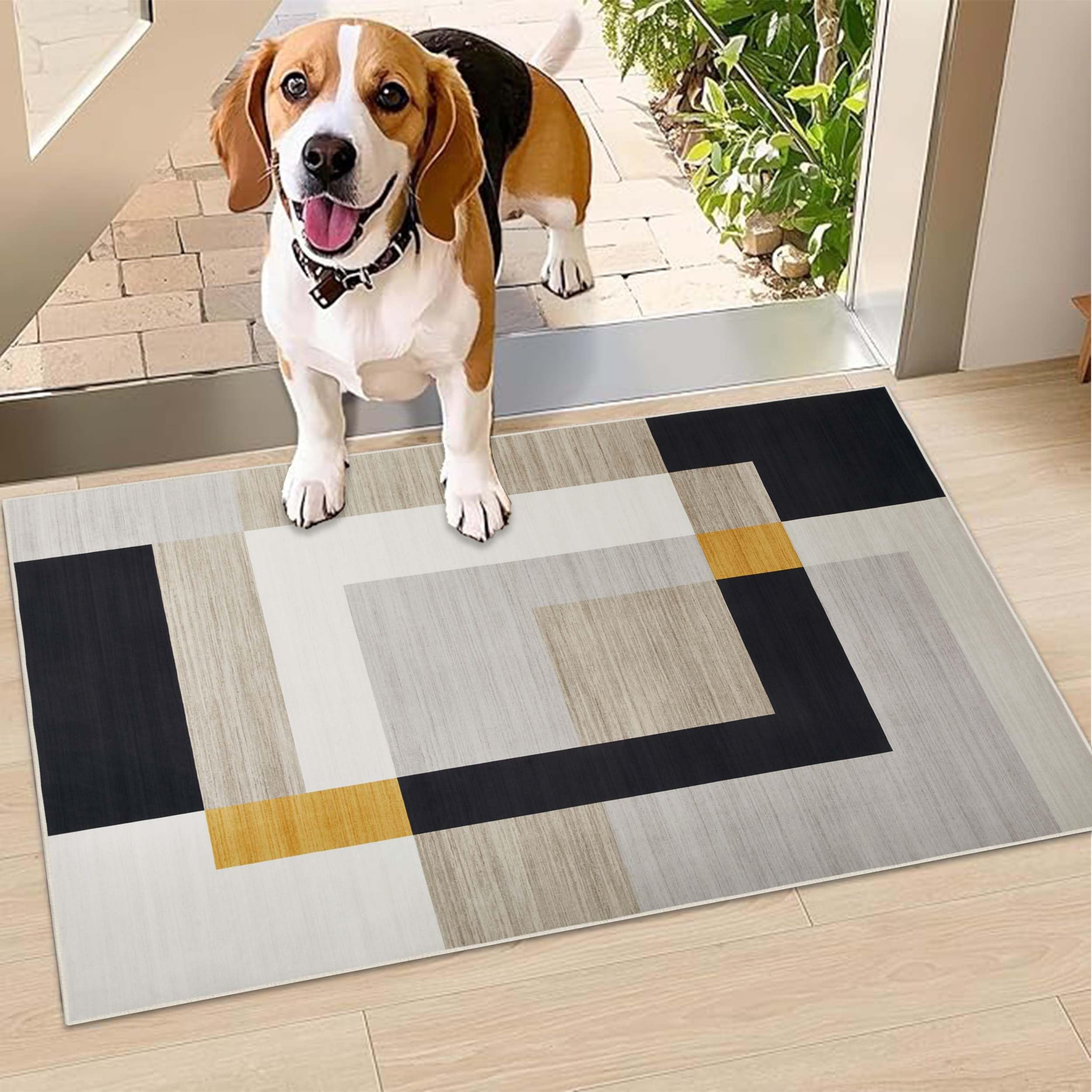 Hafaa Door Mat Indoor & Outdoor - Non Slip Heavy Duty Doormats - Stylish & Printed Mat - Perfect Dust Grabbing Shoes Scrapper Door Mats (Milo, 40cm x 60cm)