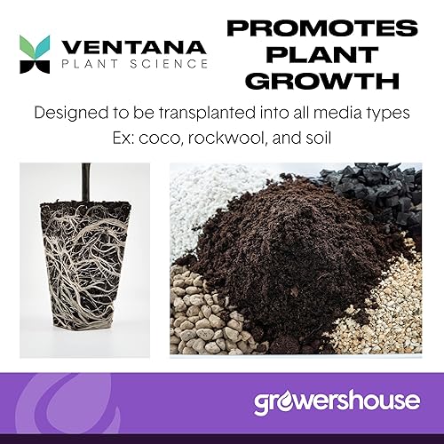 Miniatura 6 de VPS OrganiPlug - Tapones hidropónicos de semillas para principiantes, paquete de 50 cápsulas de plantación rápida de raíces para plántulas, clones,