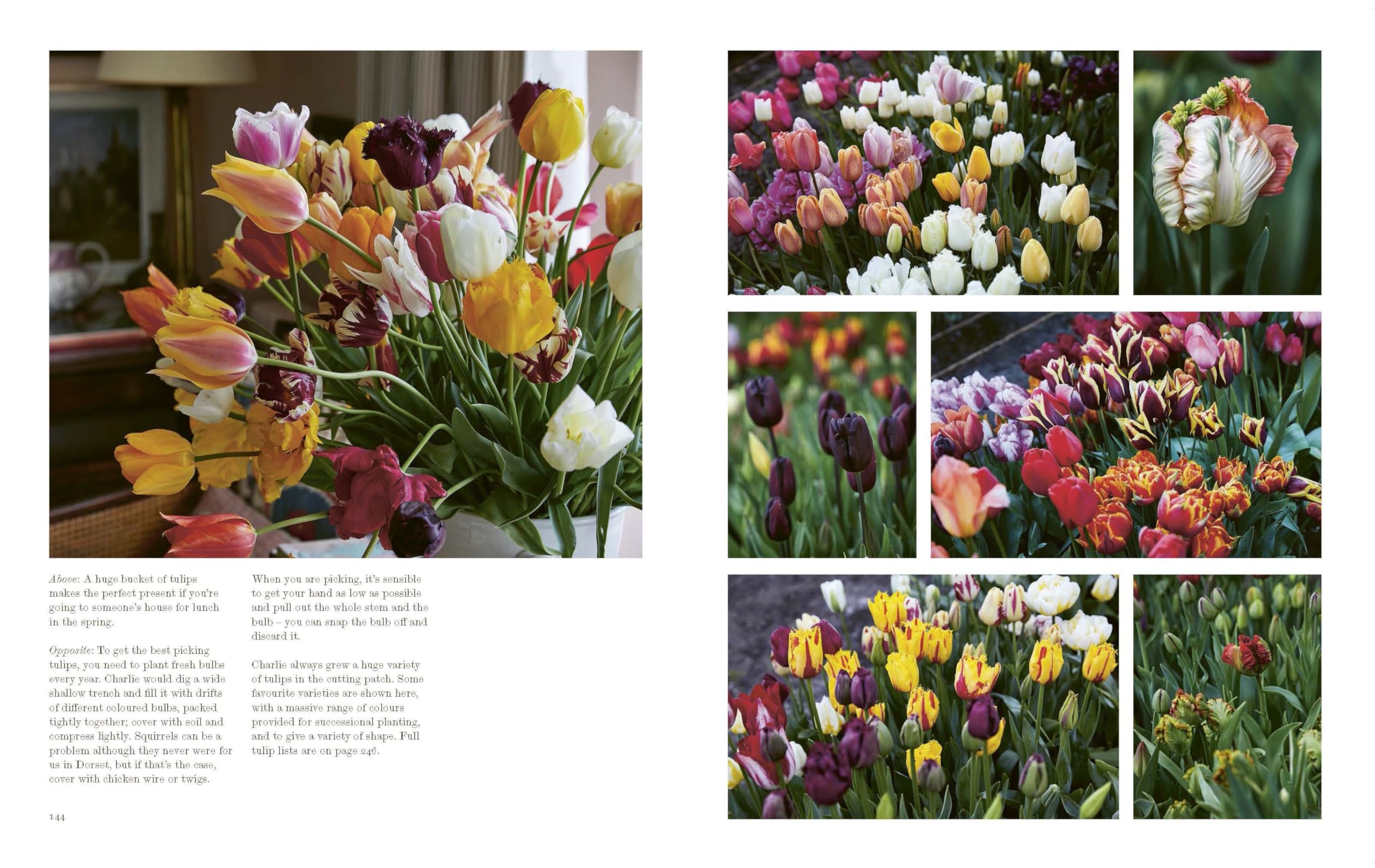A Year at the Parsonage: The Story of a House & Garden