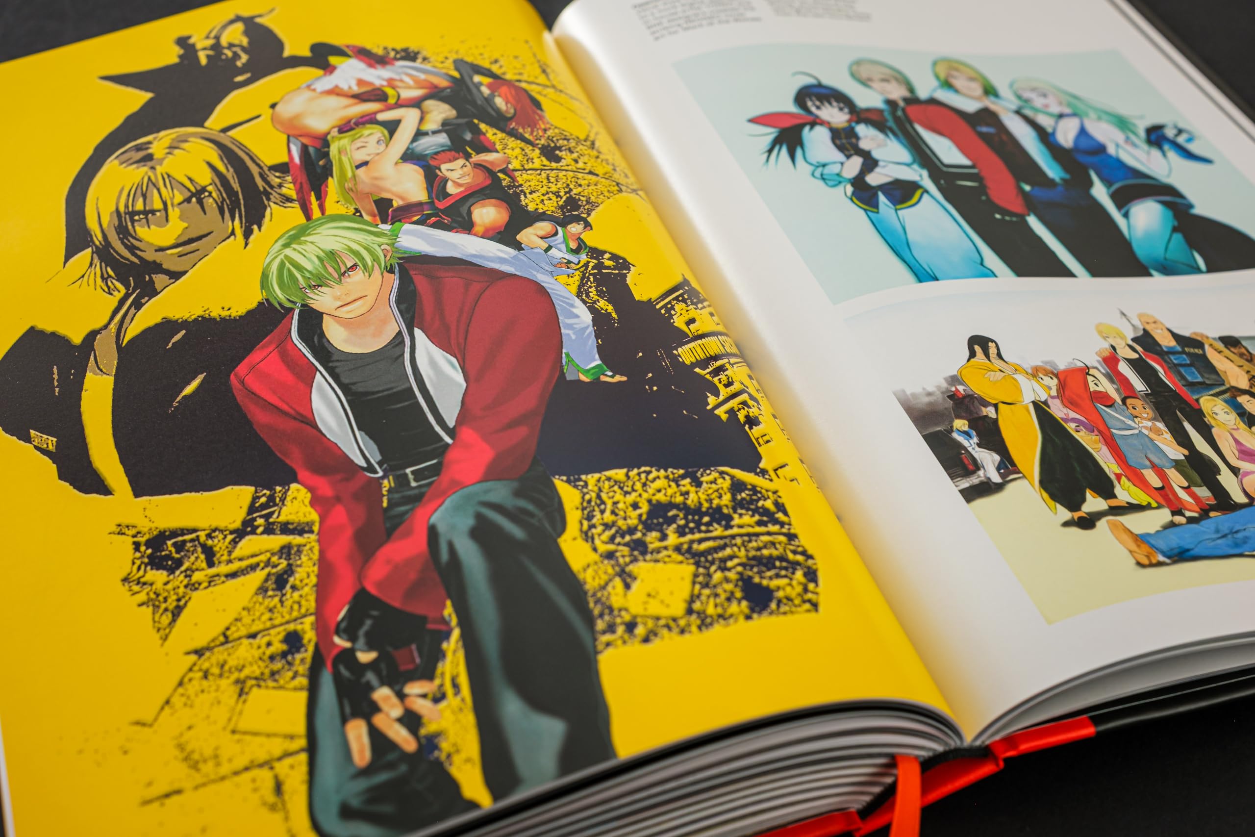 Fatal Fury/Garou Densetsu: The Ultimate History