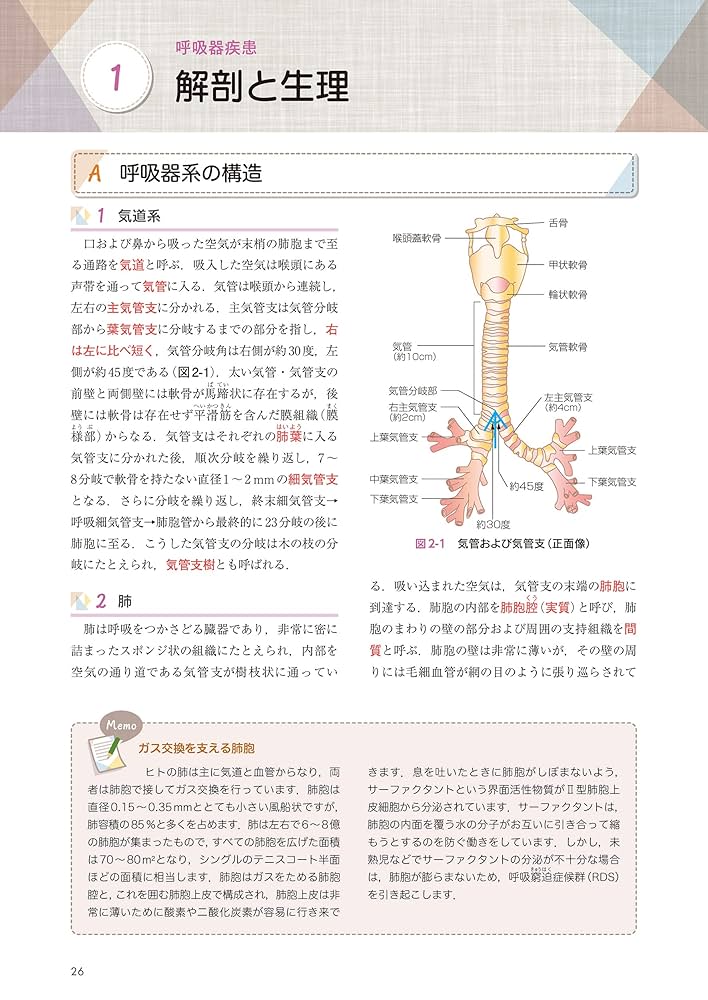 なるほどなっとく!内科学 | 浅野 嘉延 |本 | 通販 | Amazon