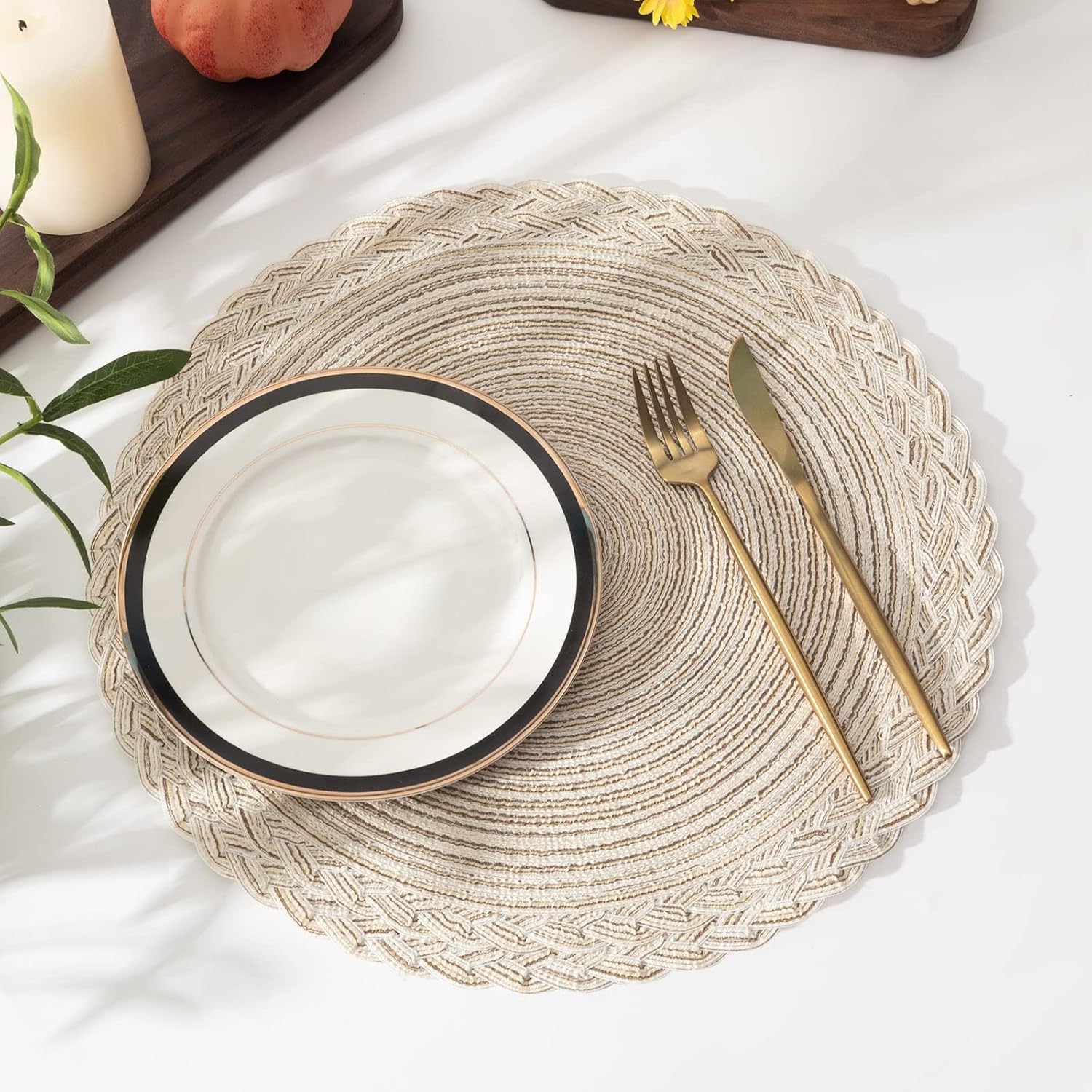 SHACOS Round Placemats Set of 4 Boho Braided Border 15 inch Circle Place Mats Washable Fabric Table Mats for Kitchen Dining Table, Ivory (Pack of 2)